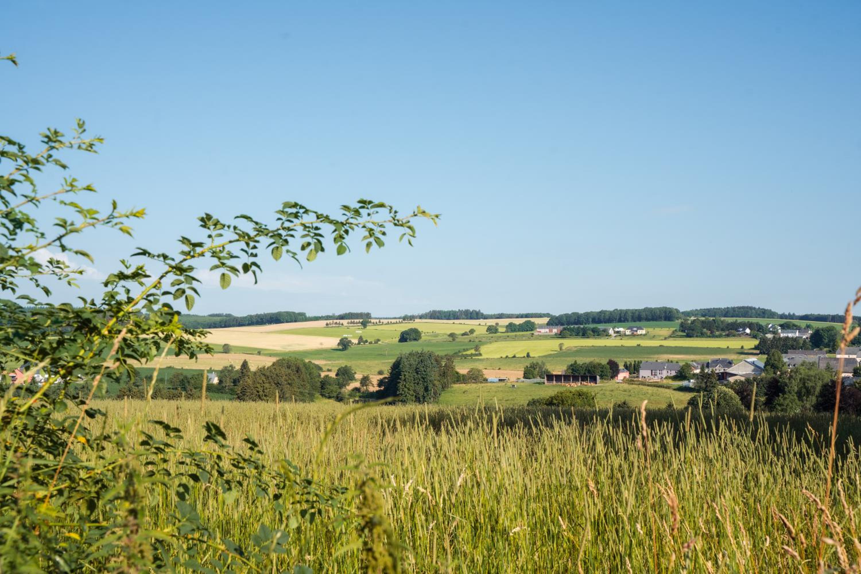 Camping Um Bierg view 4