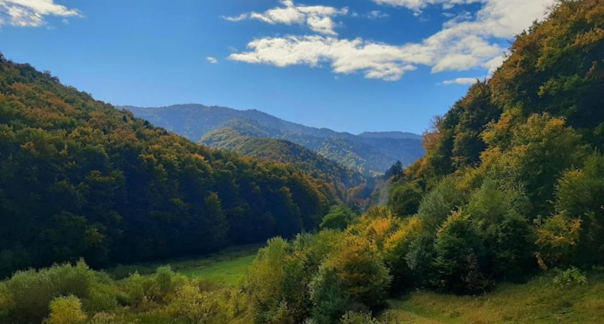 Comfort Apartment Tampa - Brasov