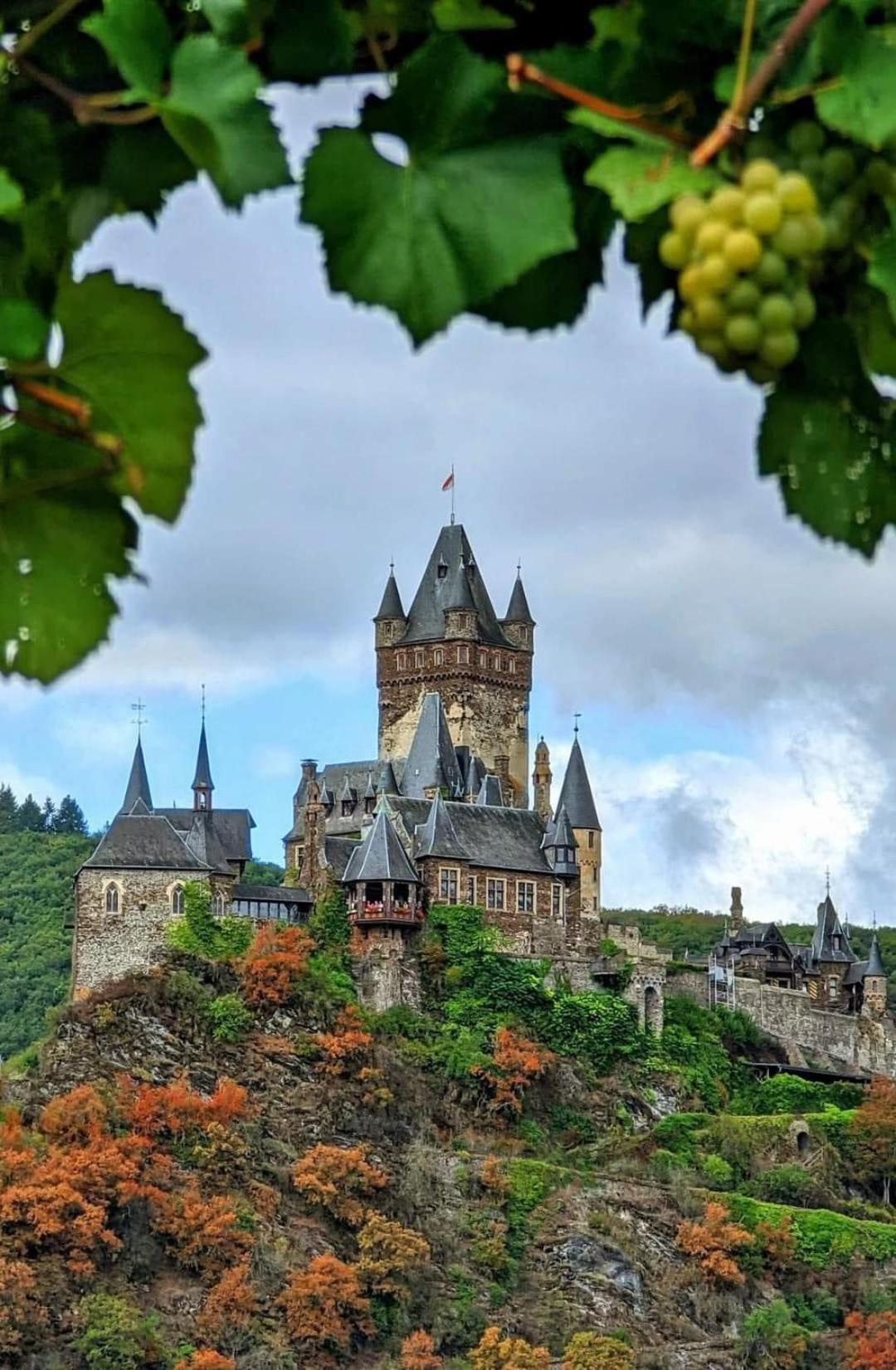 Premium Lodge nahe Cochem - 5-Sterne- Ferienwohnung - 149 qm - für 2-6 Gäste