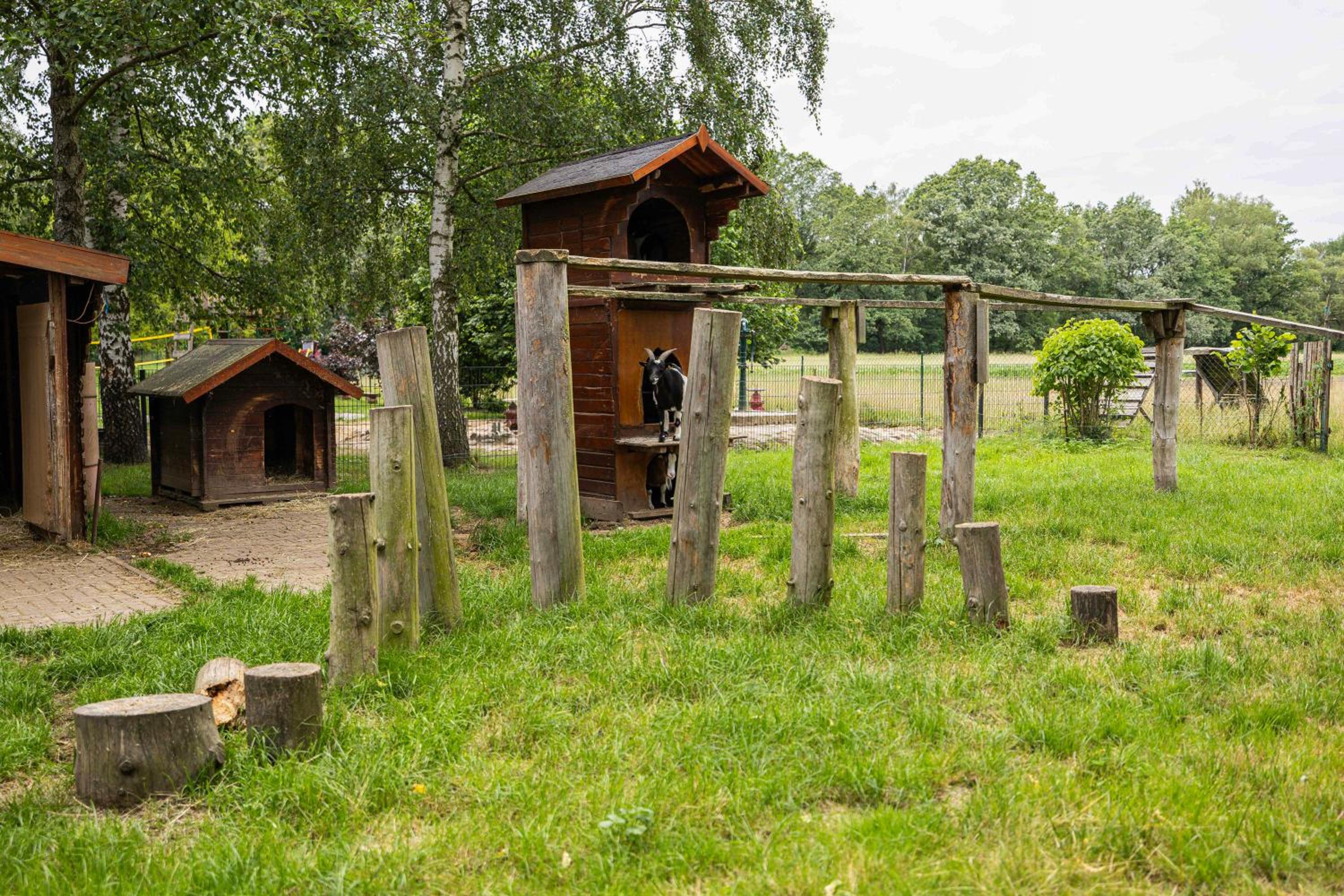 Ferienhof Falkenau