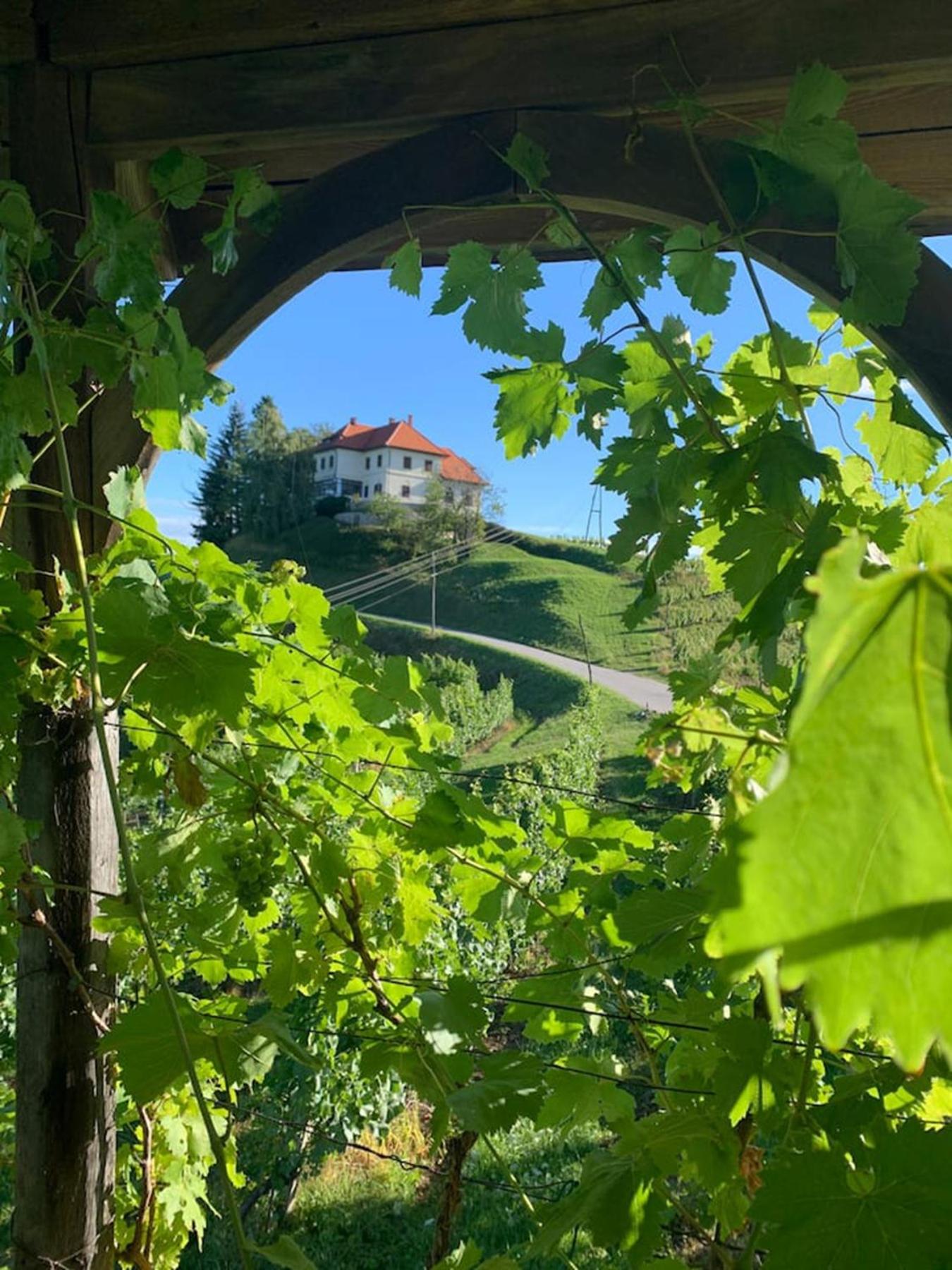 Bee Happy Farmstay view 5
