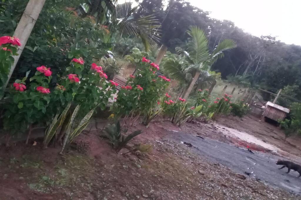 Casa da Bela