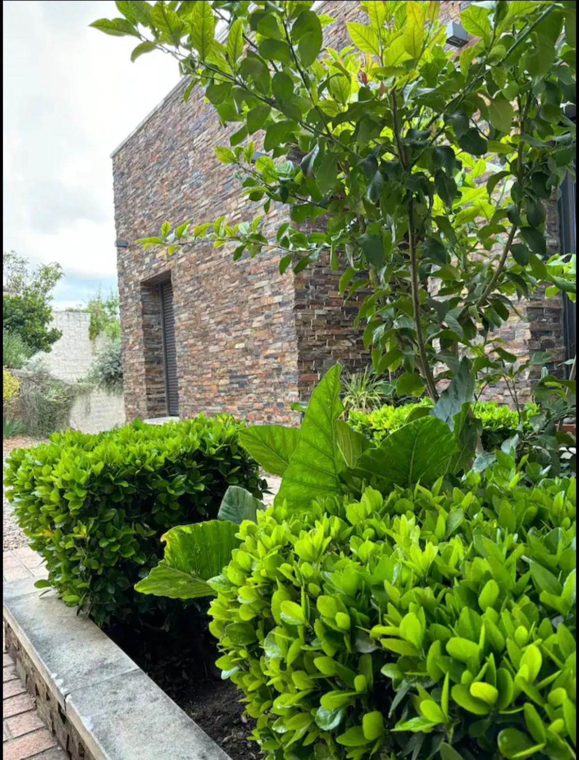 Villa Galiana By Florentia Homes