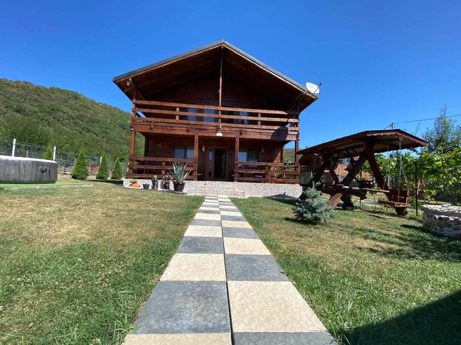 Cabana AndreeaBanica view 4