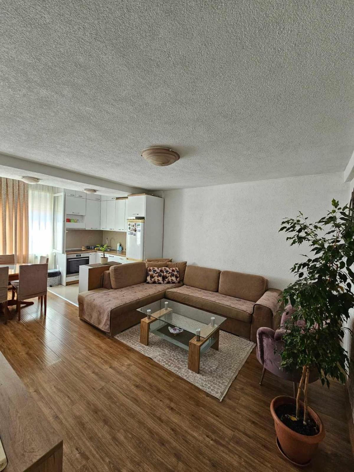 Apartment Miki