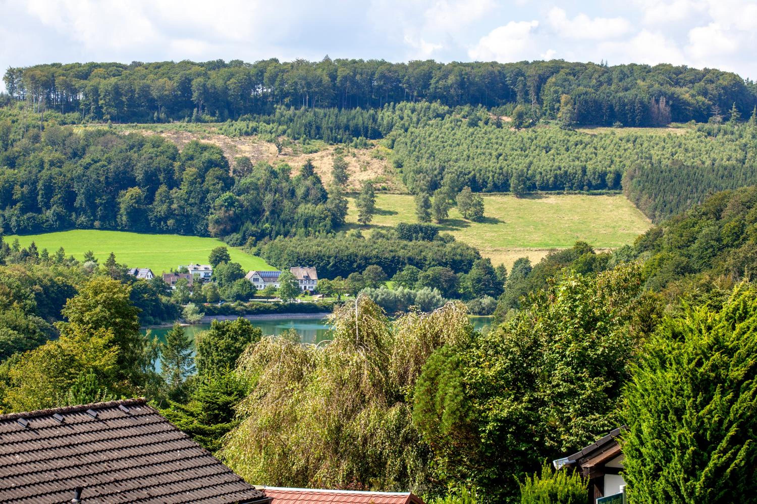 Ferienhaus Sauerland am Hennesee