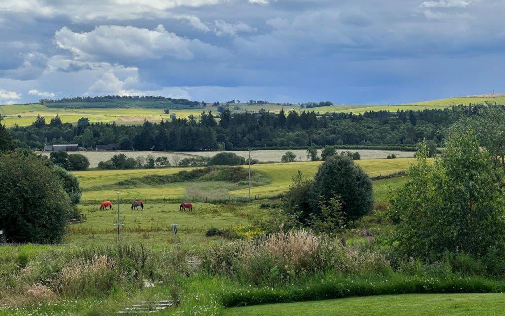 Endeavour Guest House view 3