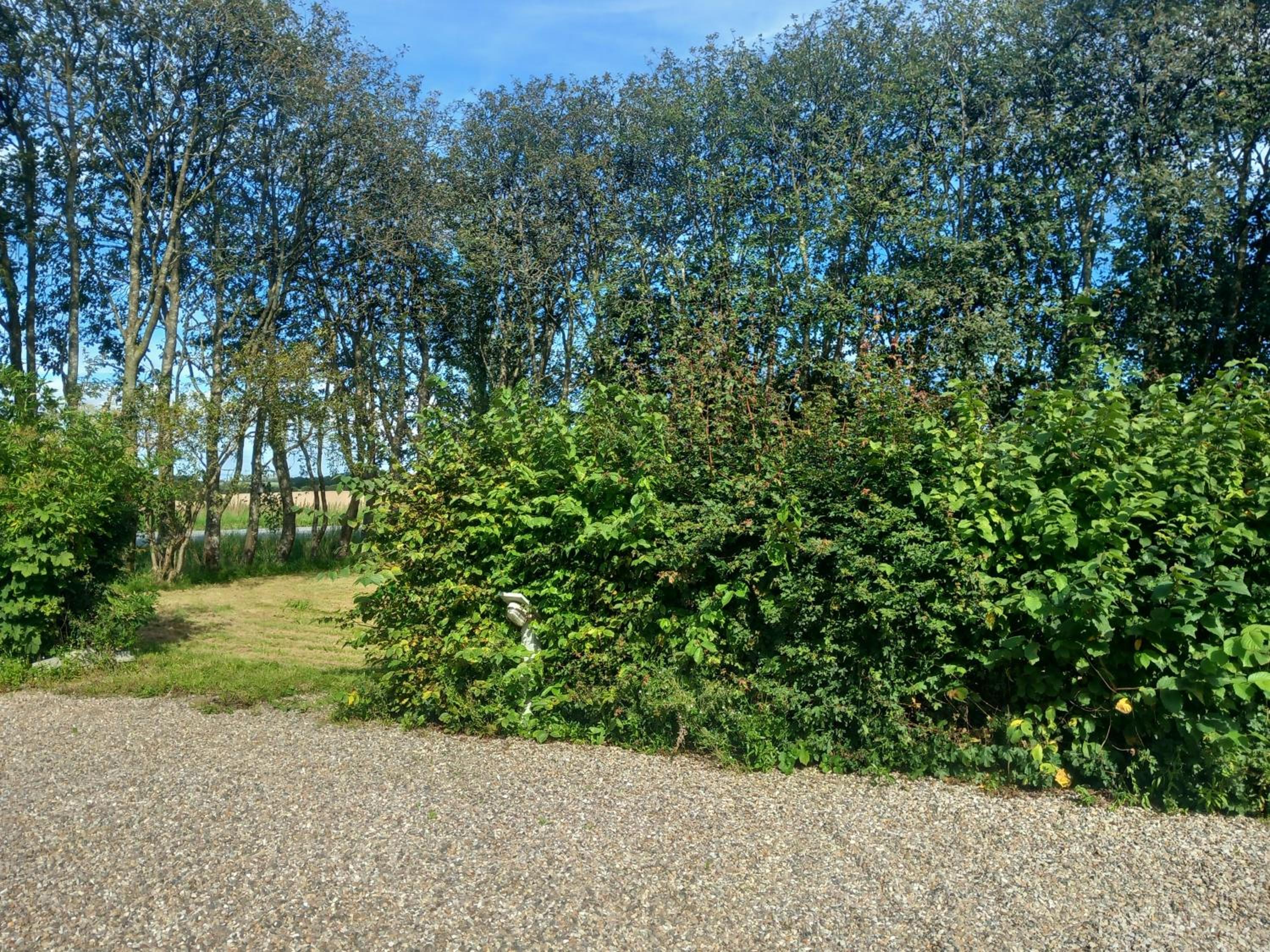 Lille Landsted Camping