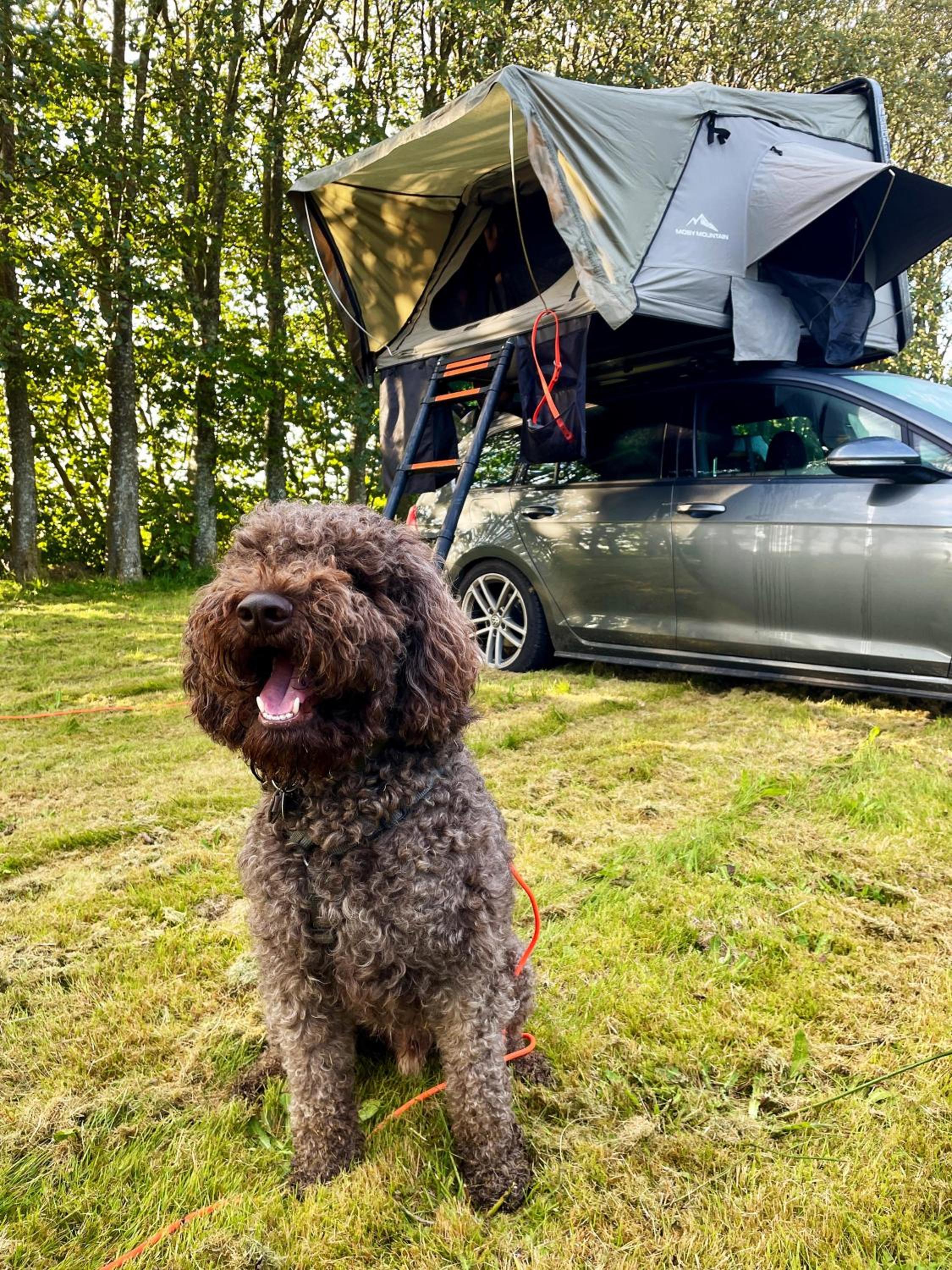 Lille Landsted Camping