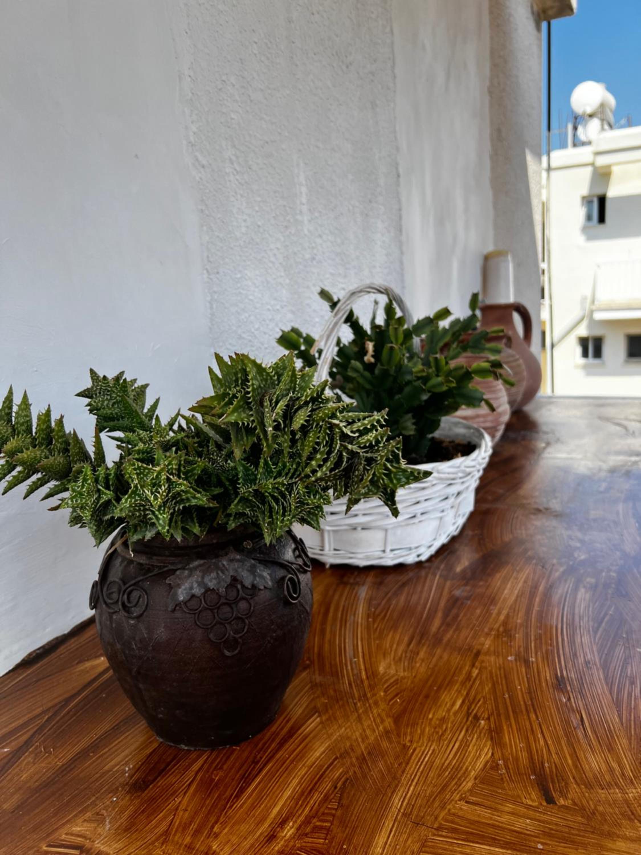 Apartment in the heart of Kato Paphos