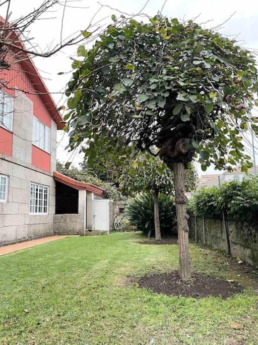 Casa Glicinia