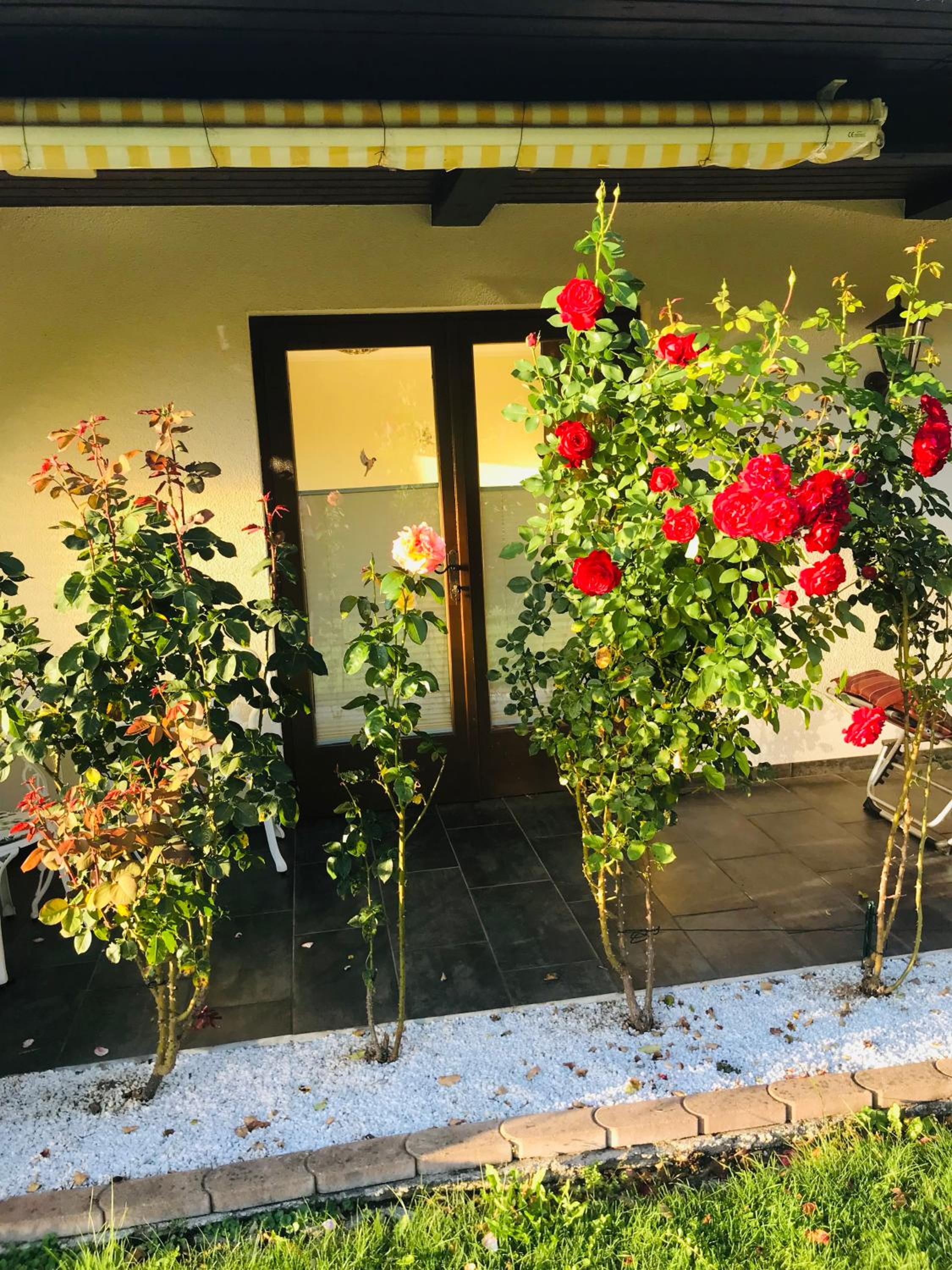 Ferienwohnung am Golfplatz