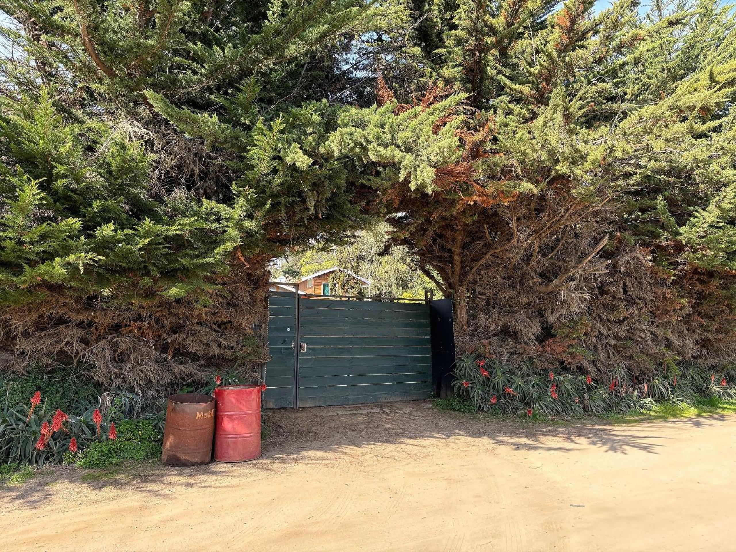 Rbkº Acogedora y Rústica en Laguna Verde, Cabaña 2