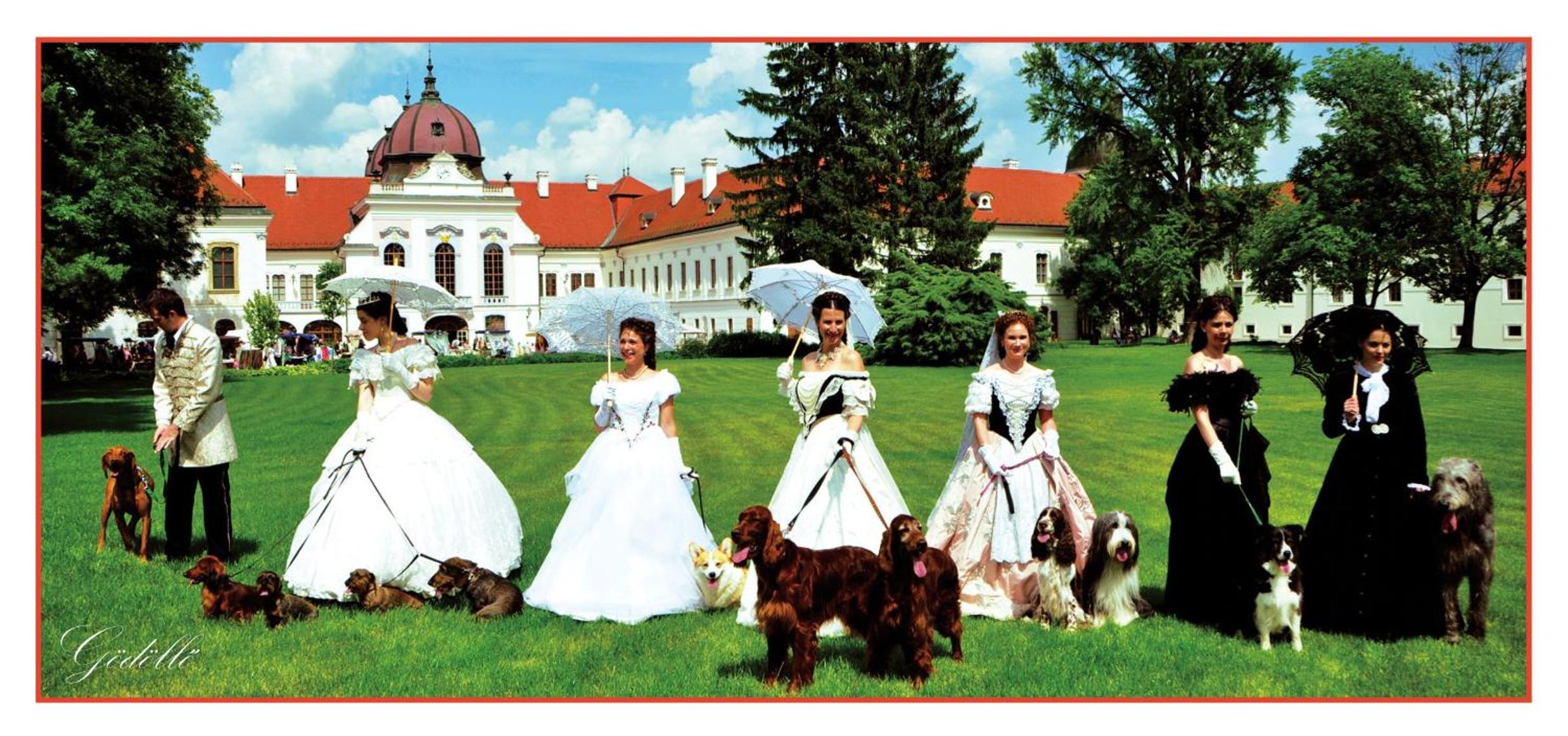 Villa Oliver Gödöllő