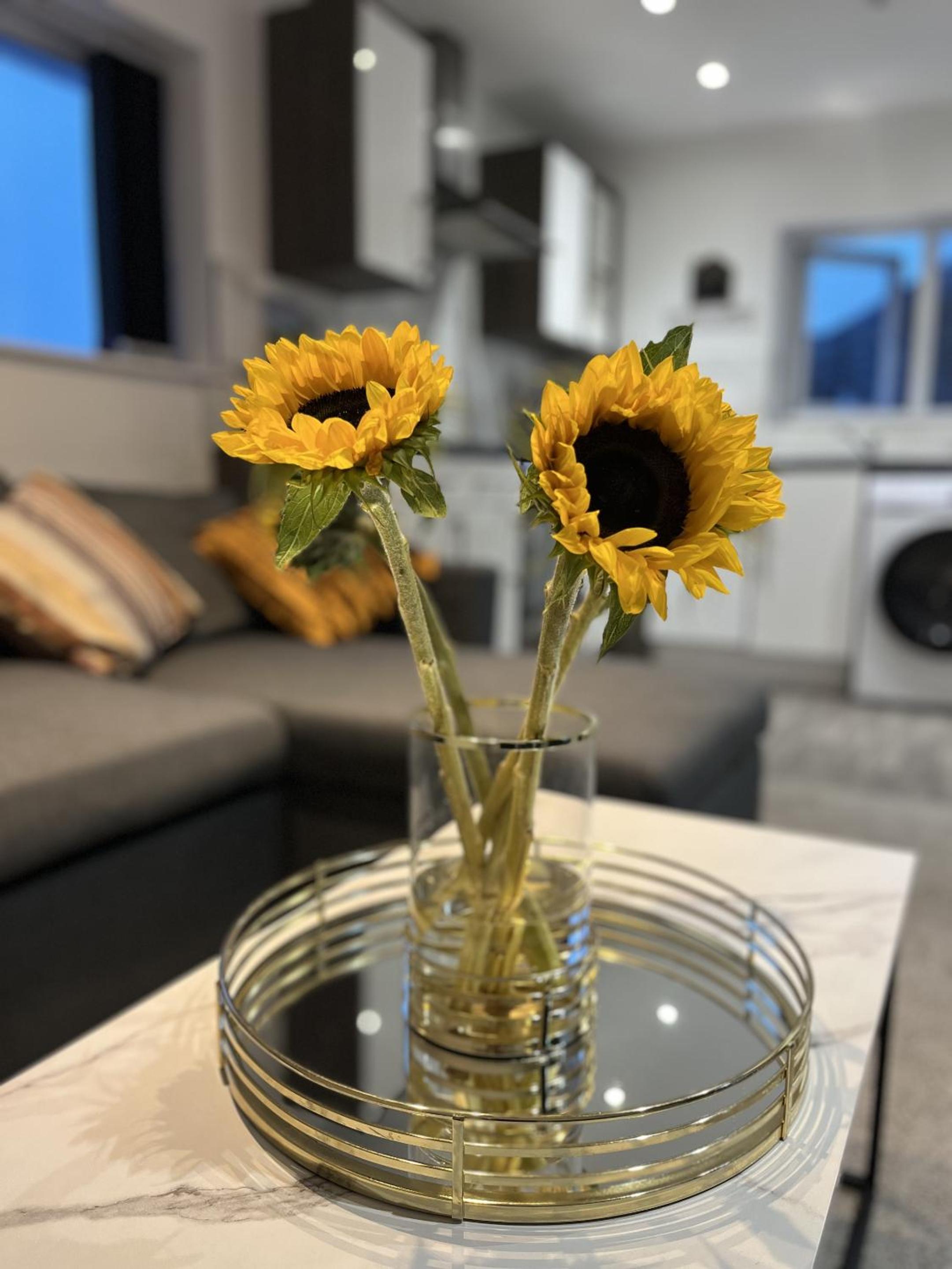 AK Serviced Apartments Blue House view 4