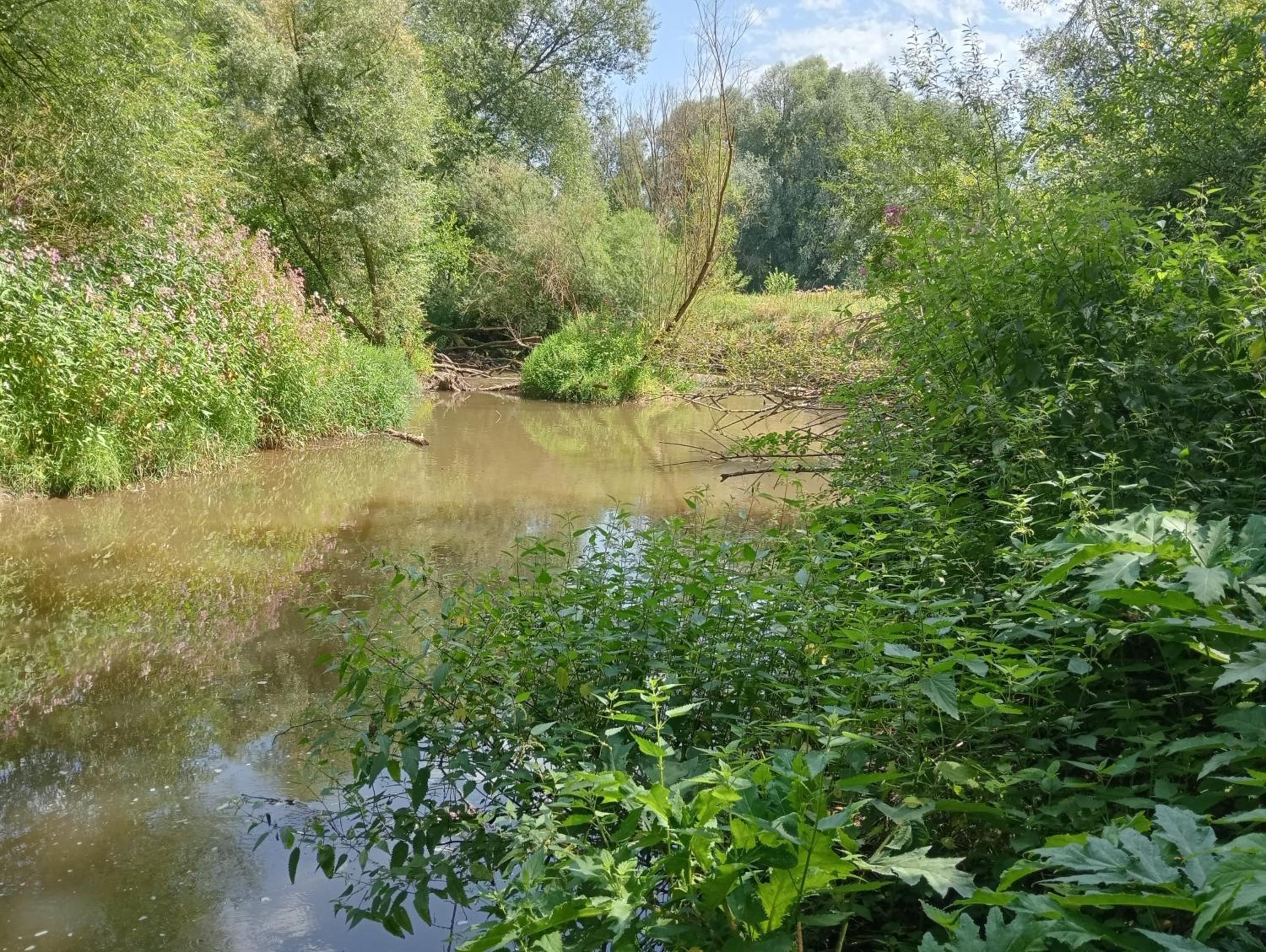 Photo 20