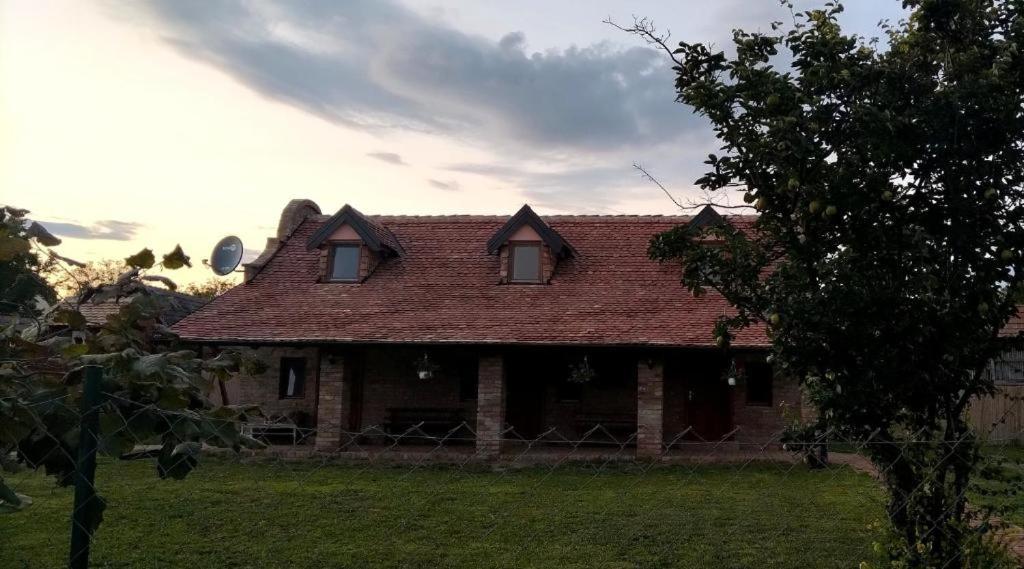 Tamiški Mir view 2