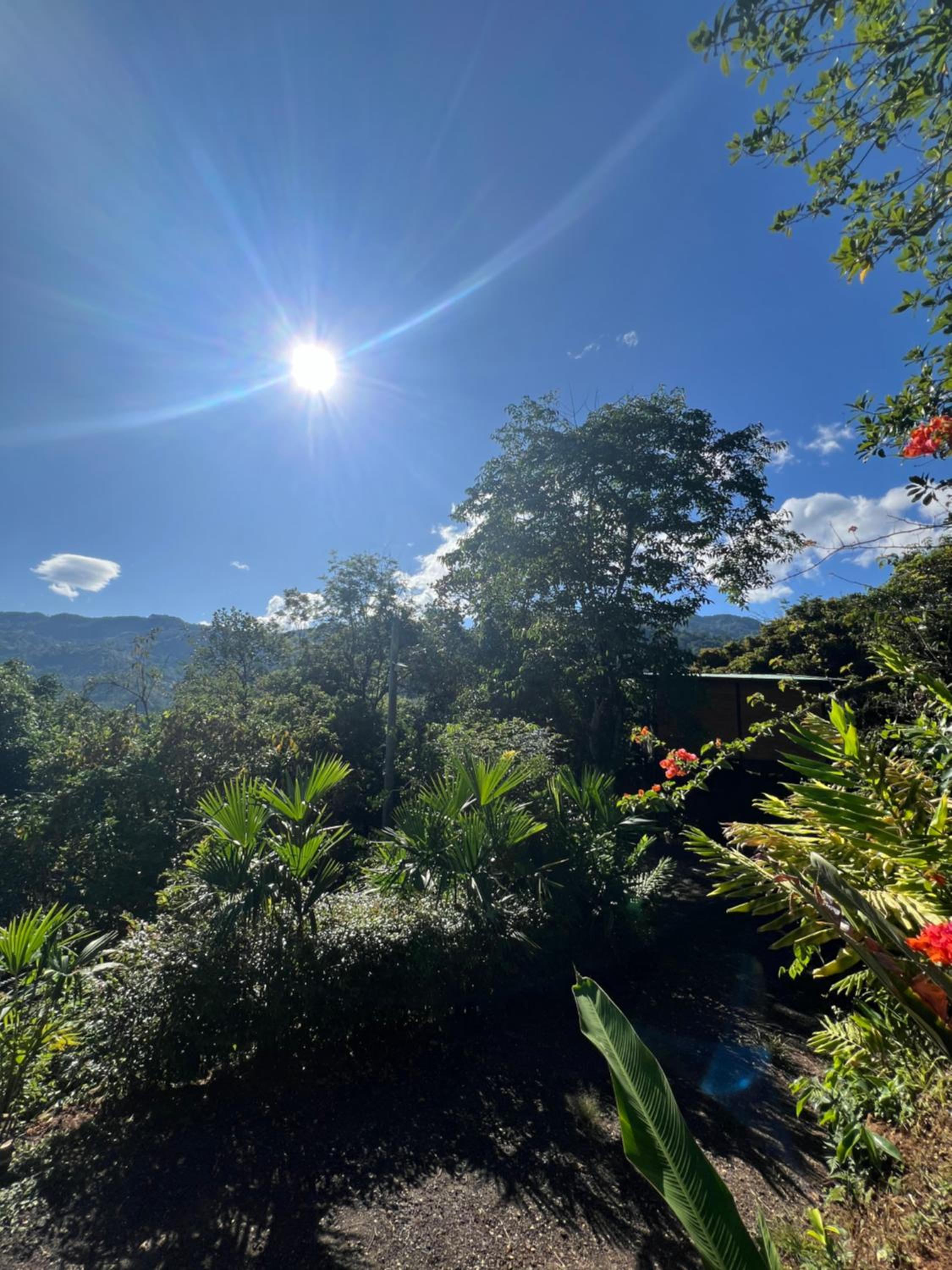 Entremonte Cabañas