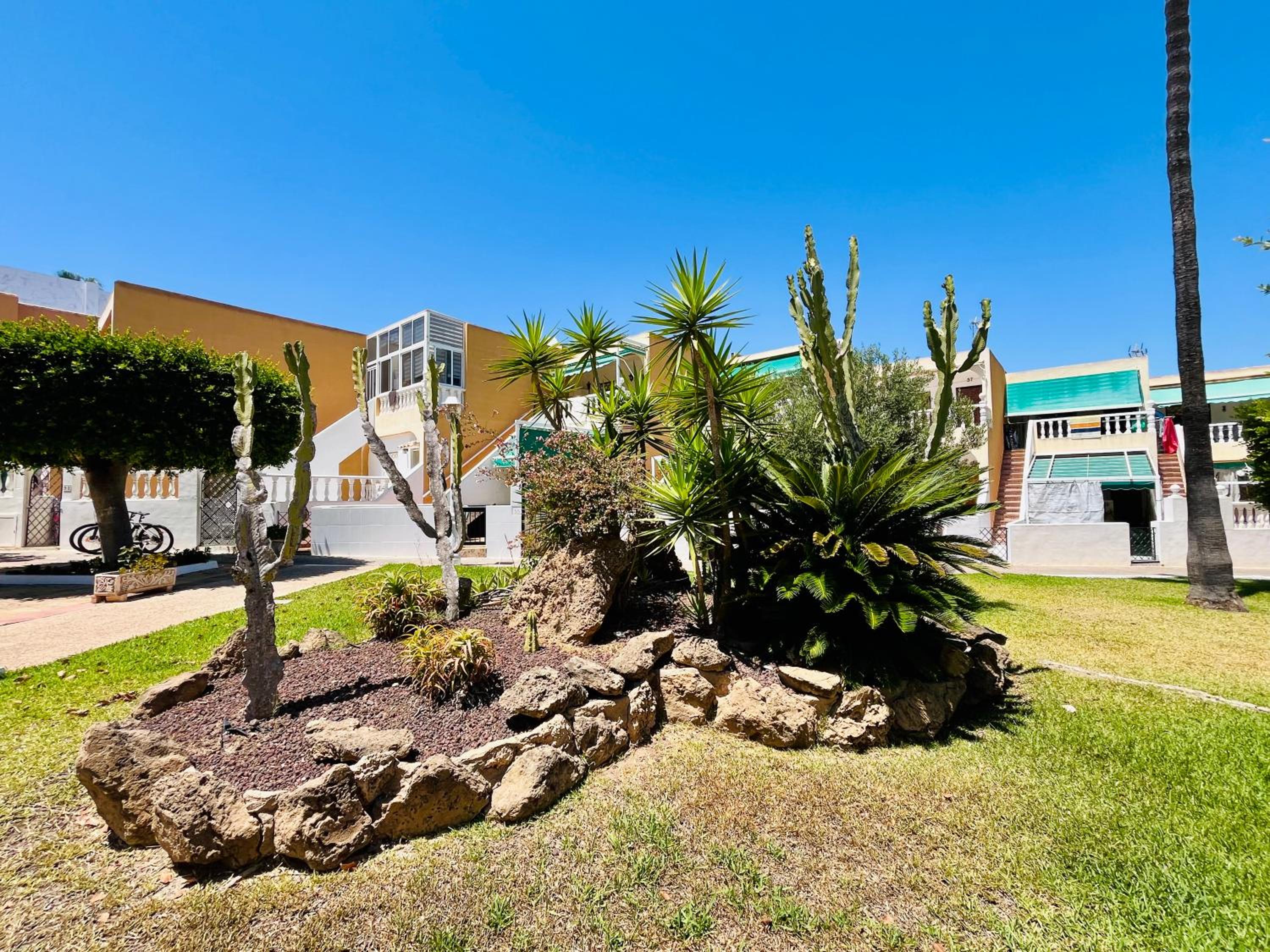 Serenity Oasis Apartment