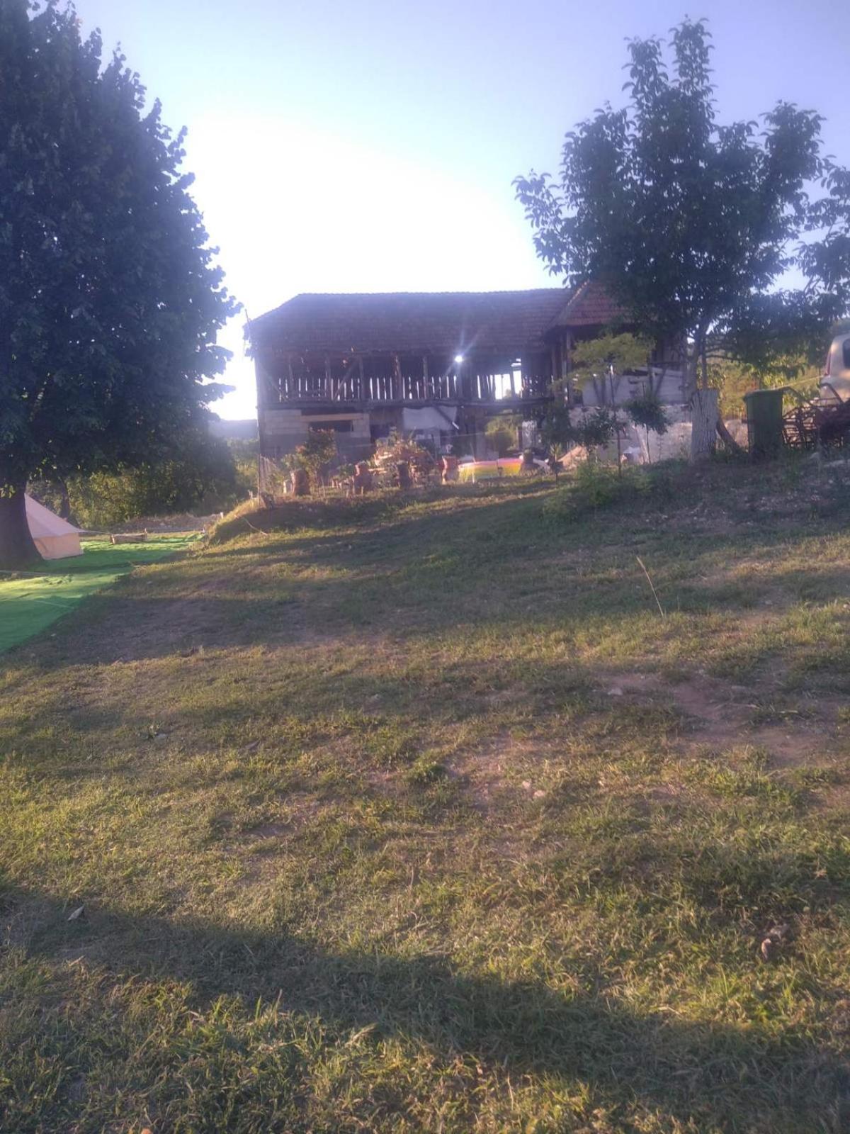 Photo 22