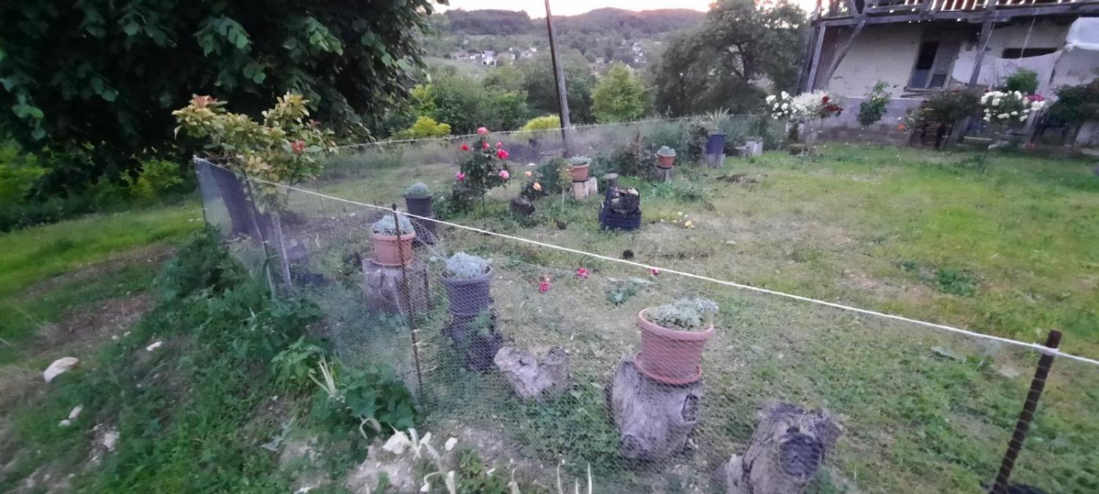 Photo 26