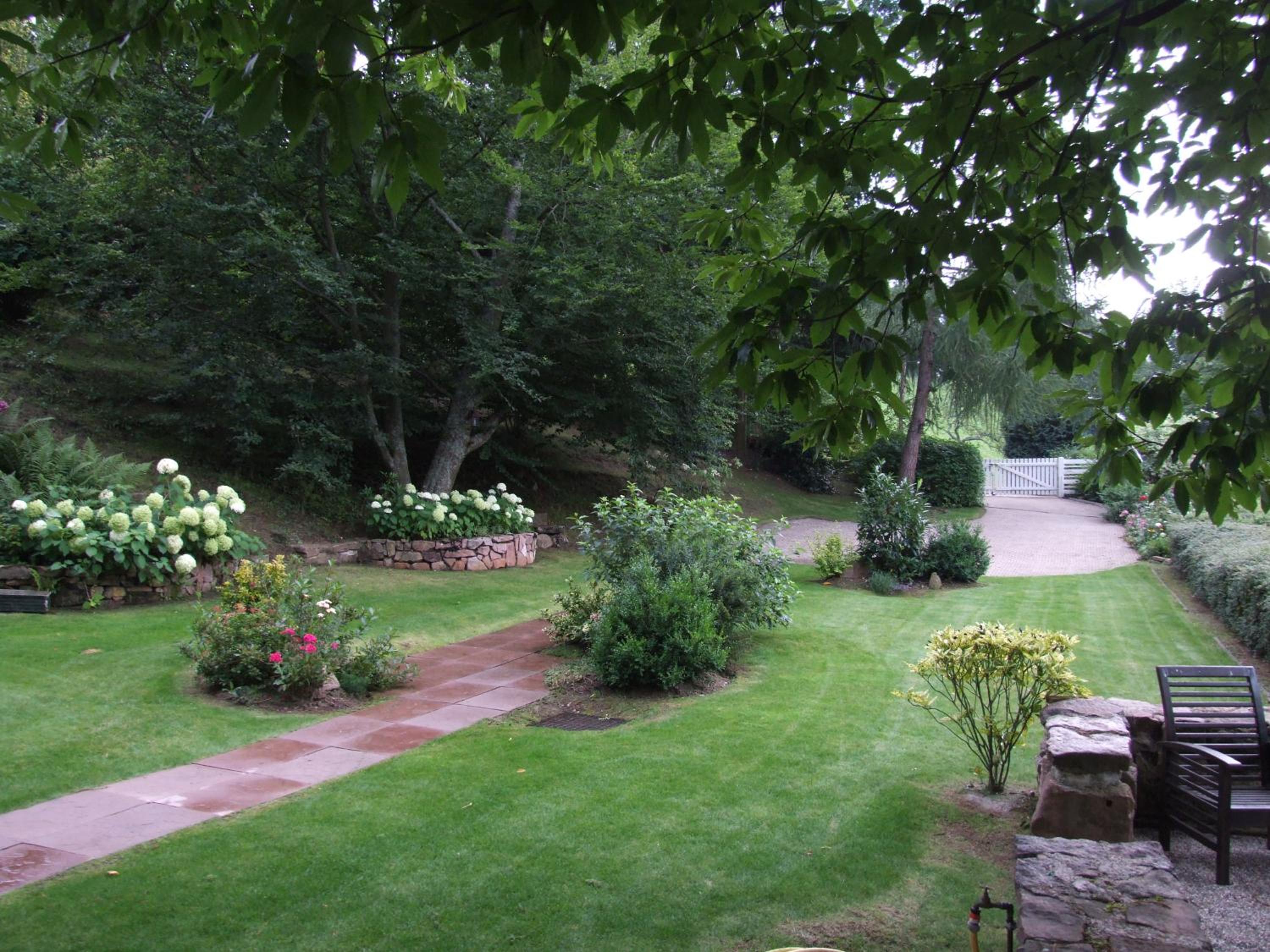 Photo 46