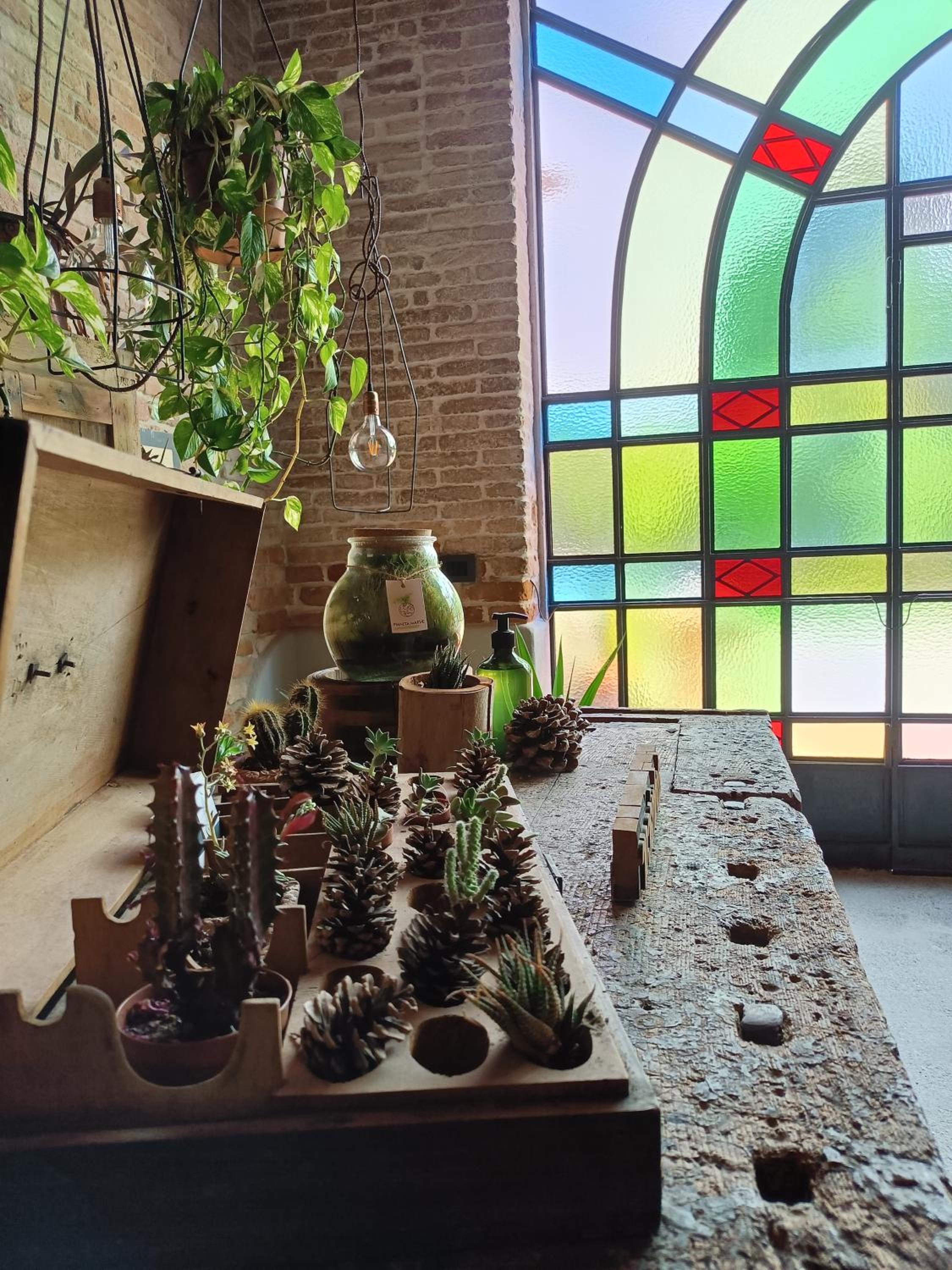Photo 16