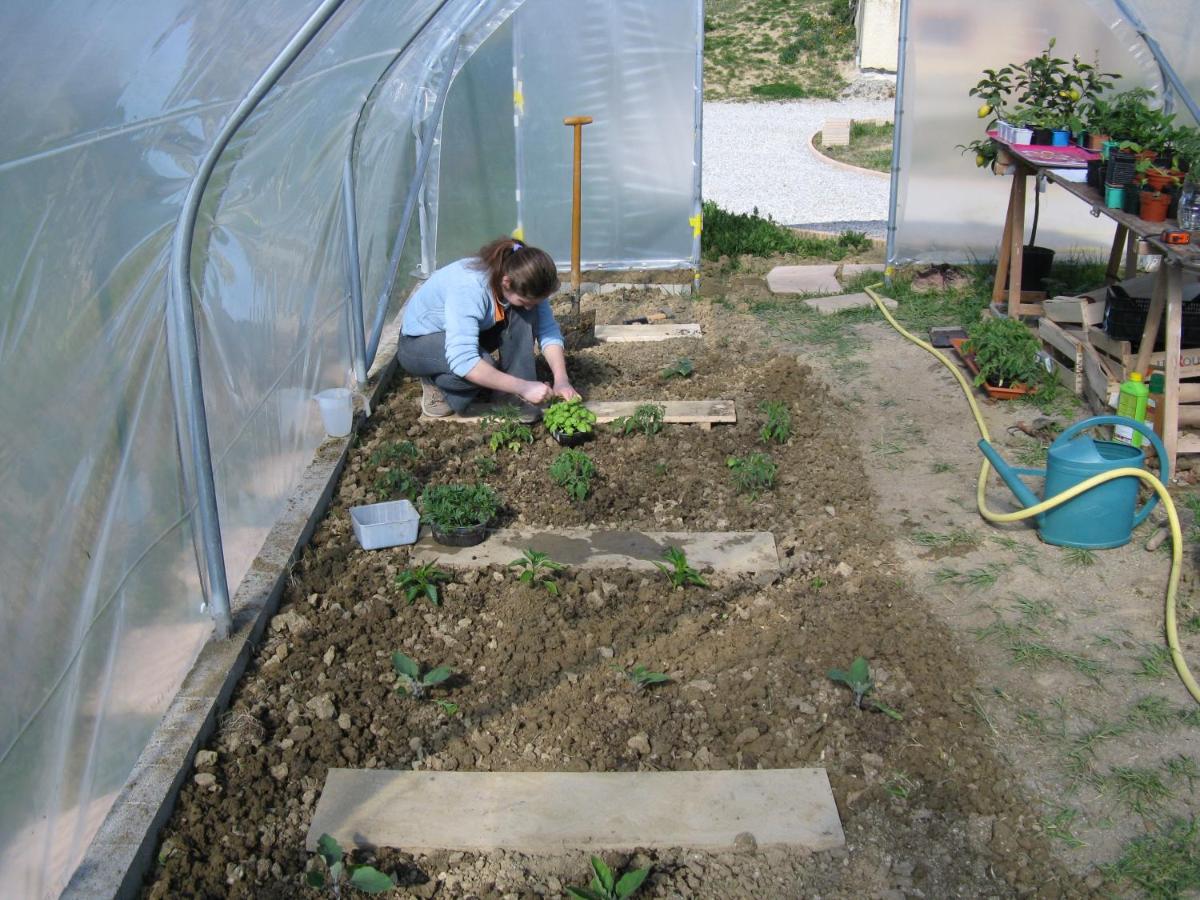 Photo 14