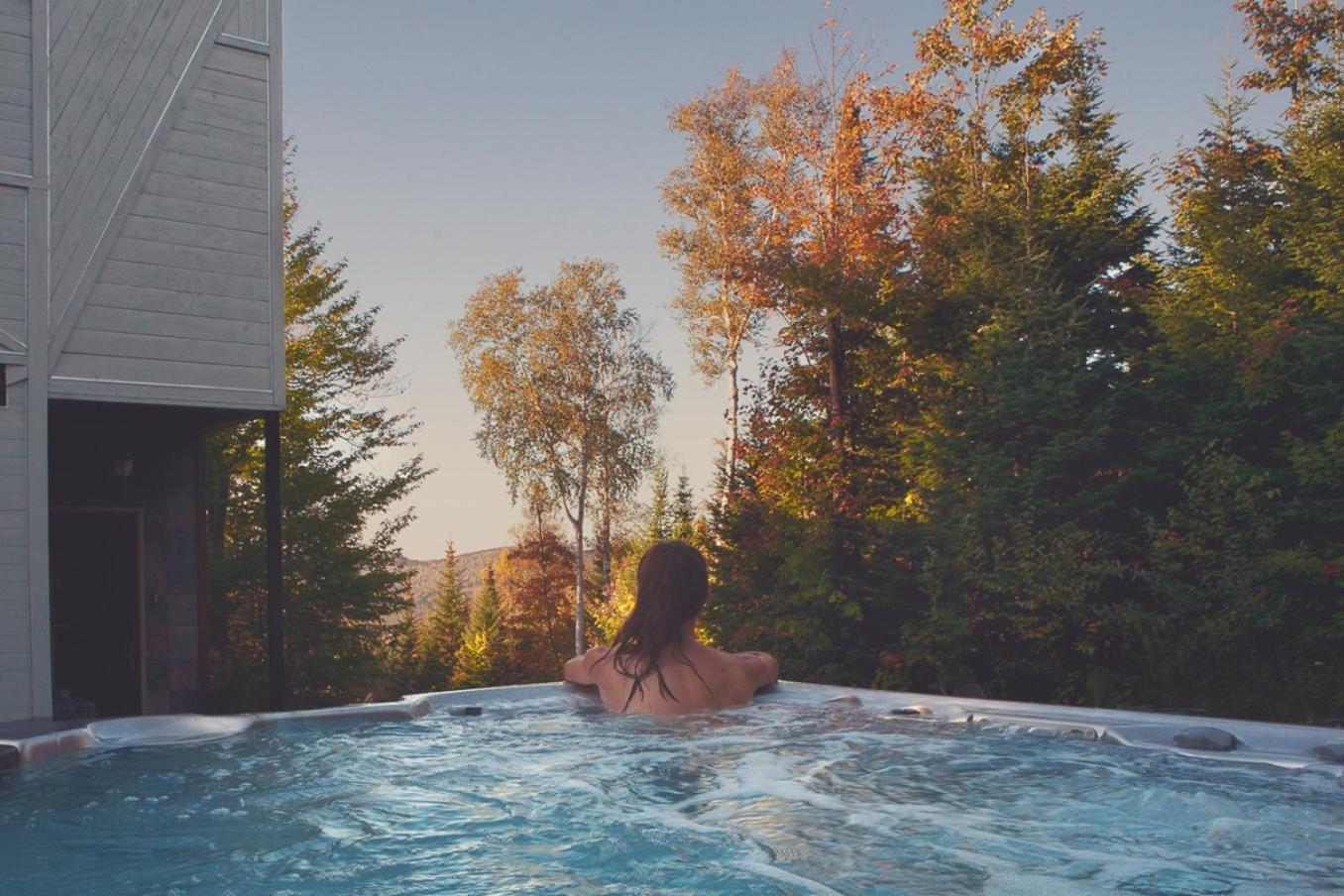 La Romane Stylish forest chalet w spa