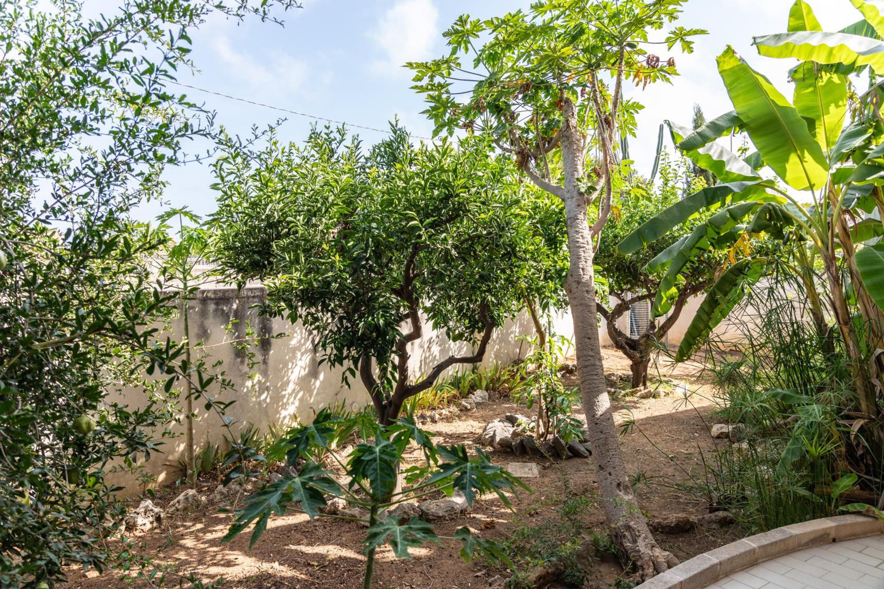 Upper Scoglitti