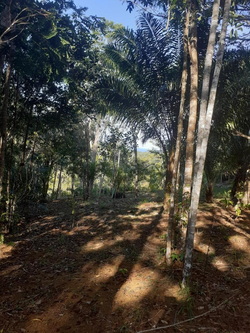 Chalé Mata & Mar Serra Grande