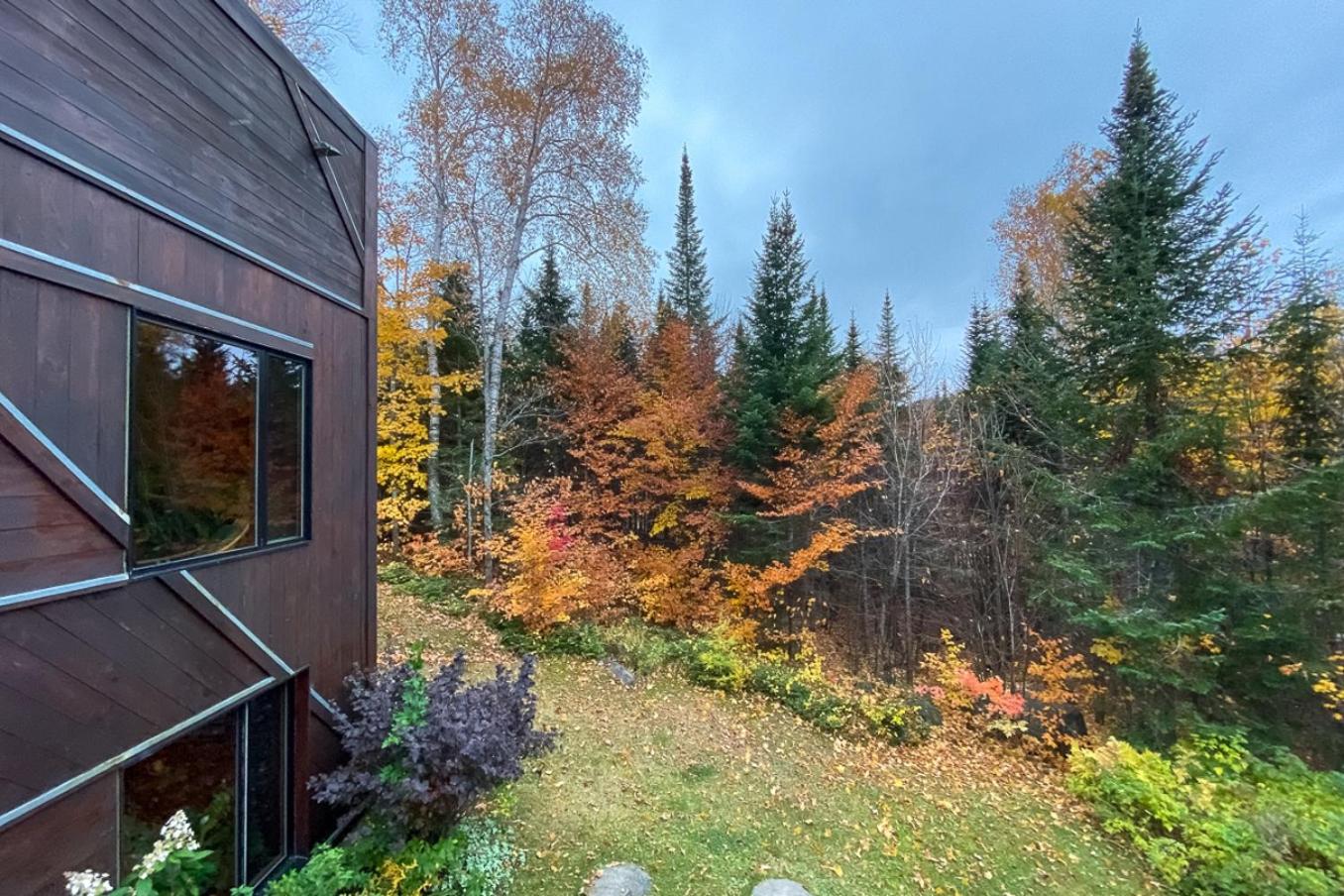 La Romane Stylish forest chalet w spa