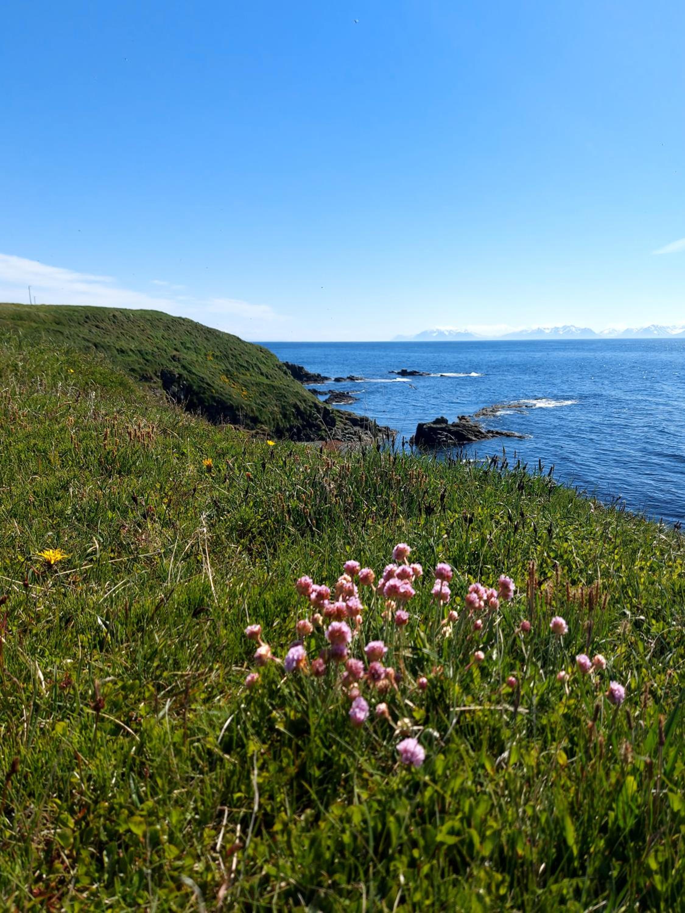 Hátún Grímsey view 2