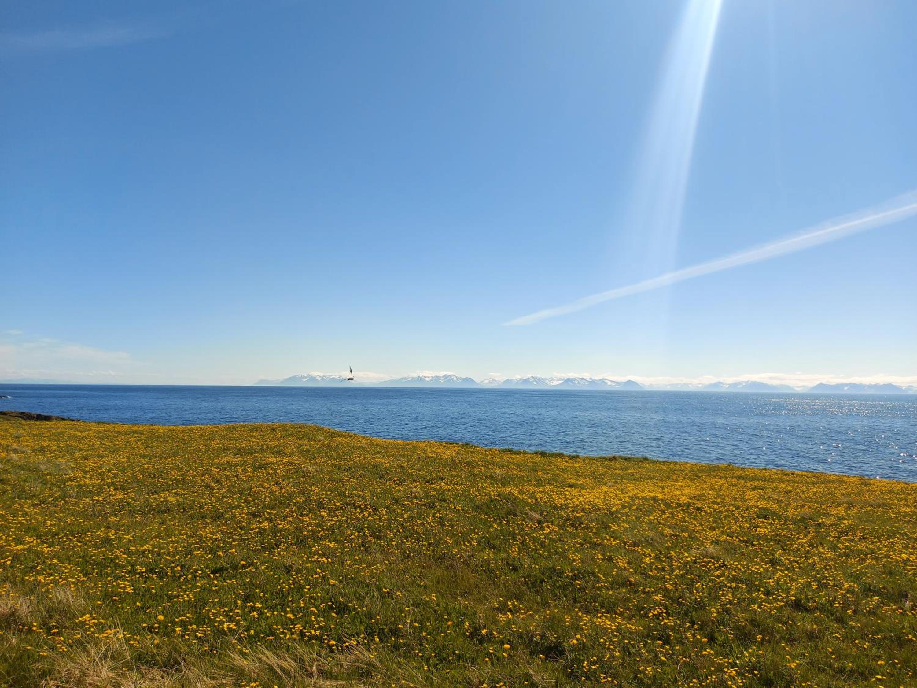 Hátún Grímsey view 5