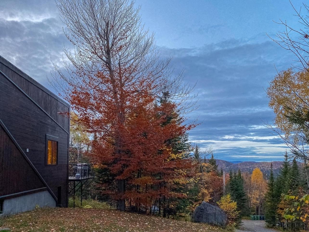 La Romane Stylish forest chalet w spa