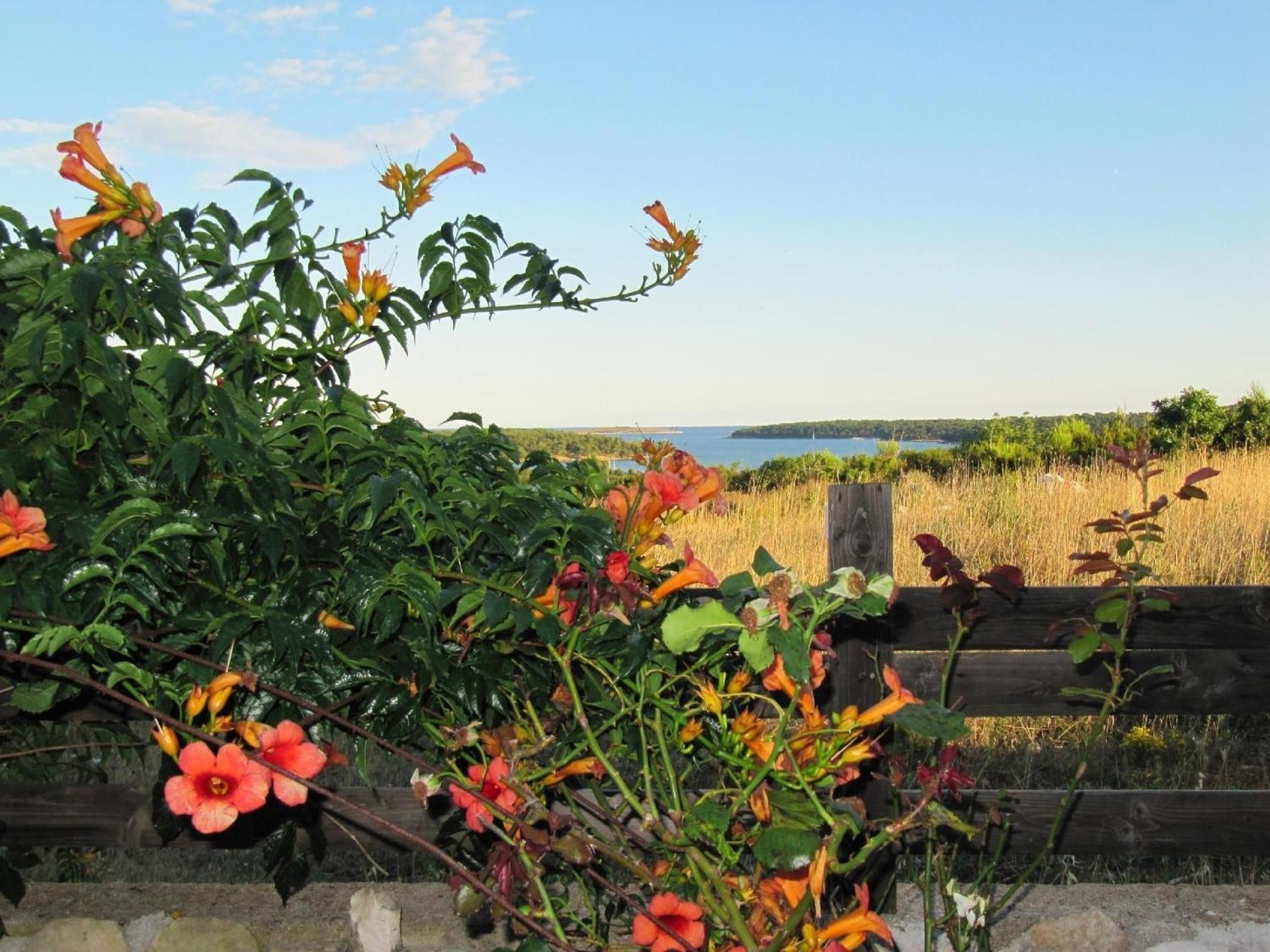 Holiday Home Bellian view 3