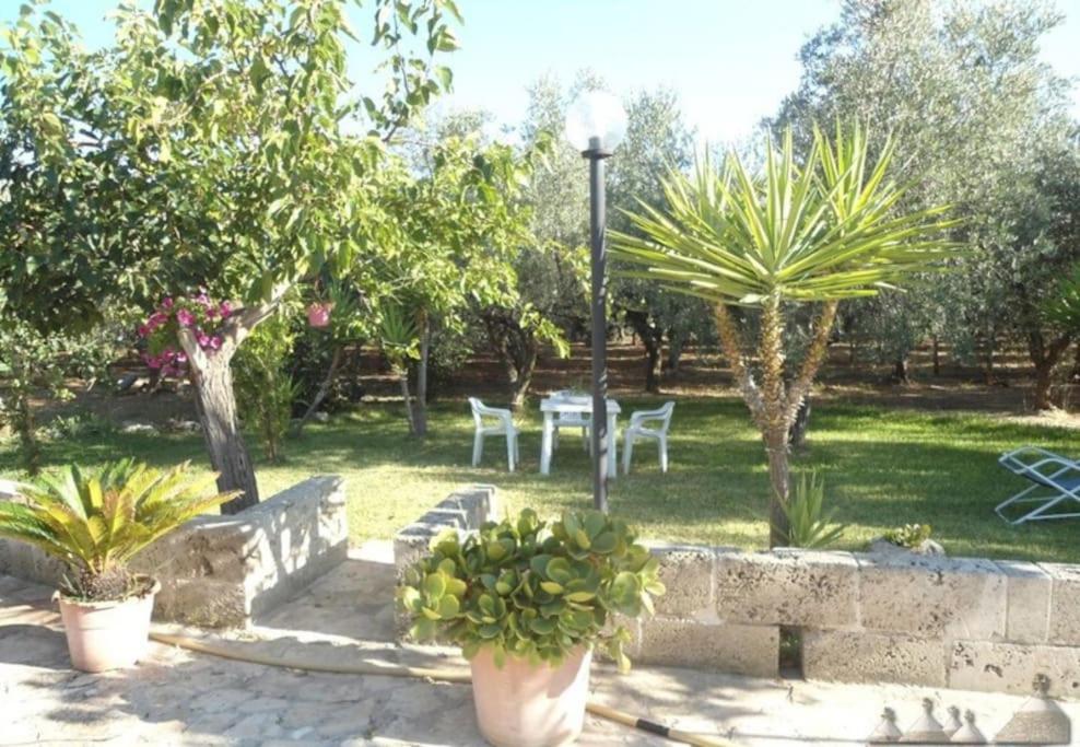Casale Eucalipto