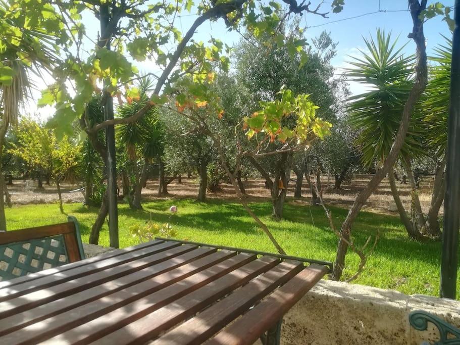 Casale Eucalipto