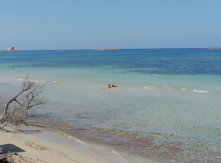 Casale Eucalipto