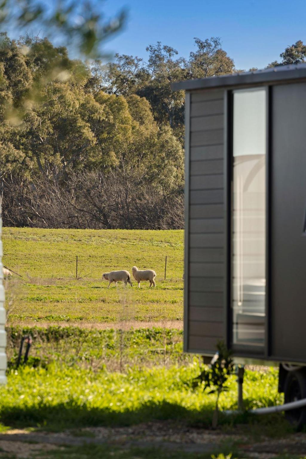 Starry Night Farmstay by Tiny Away