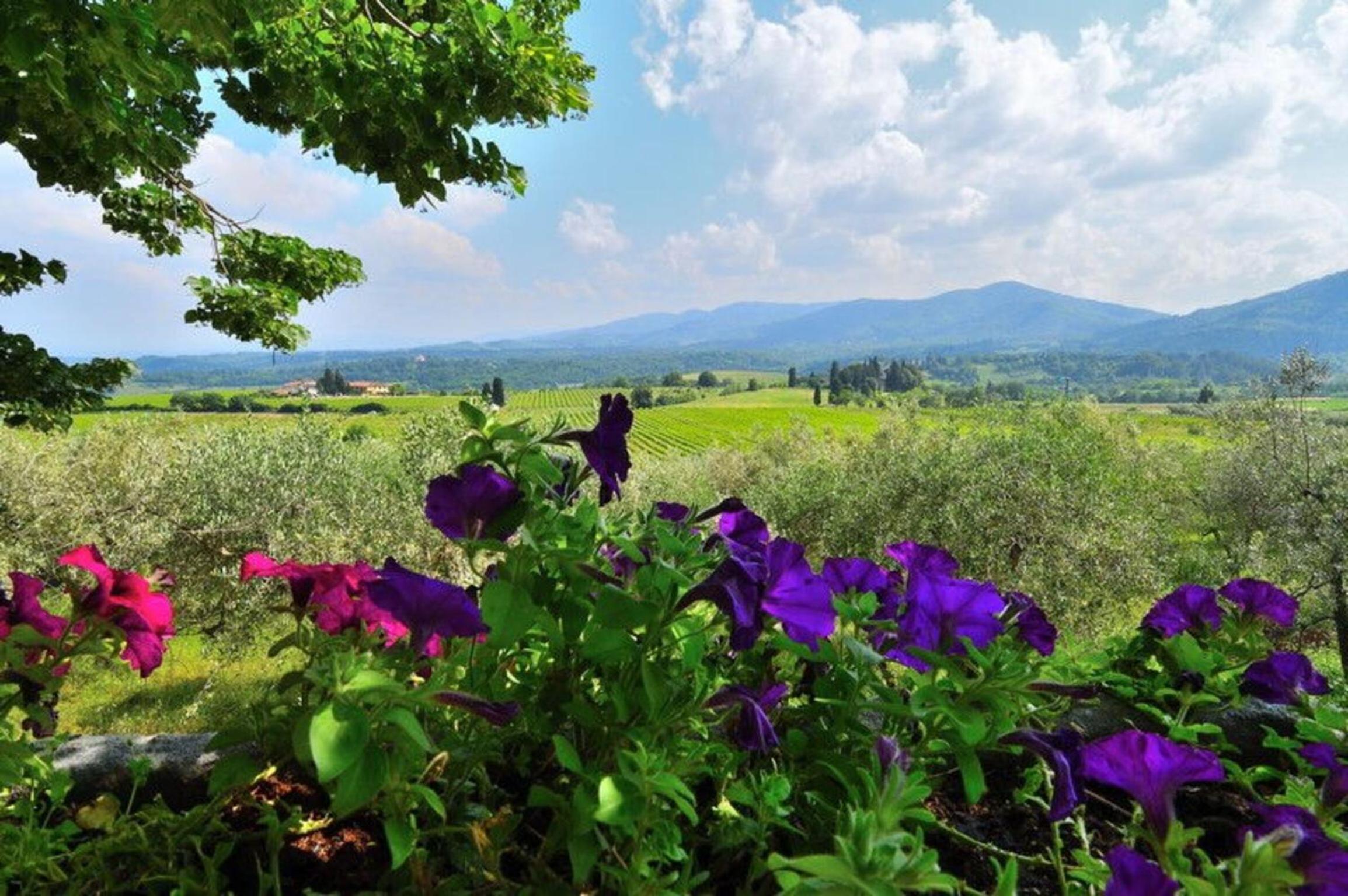 Villa Del Mosaico view 2