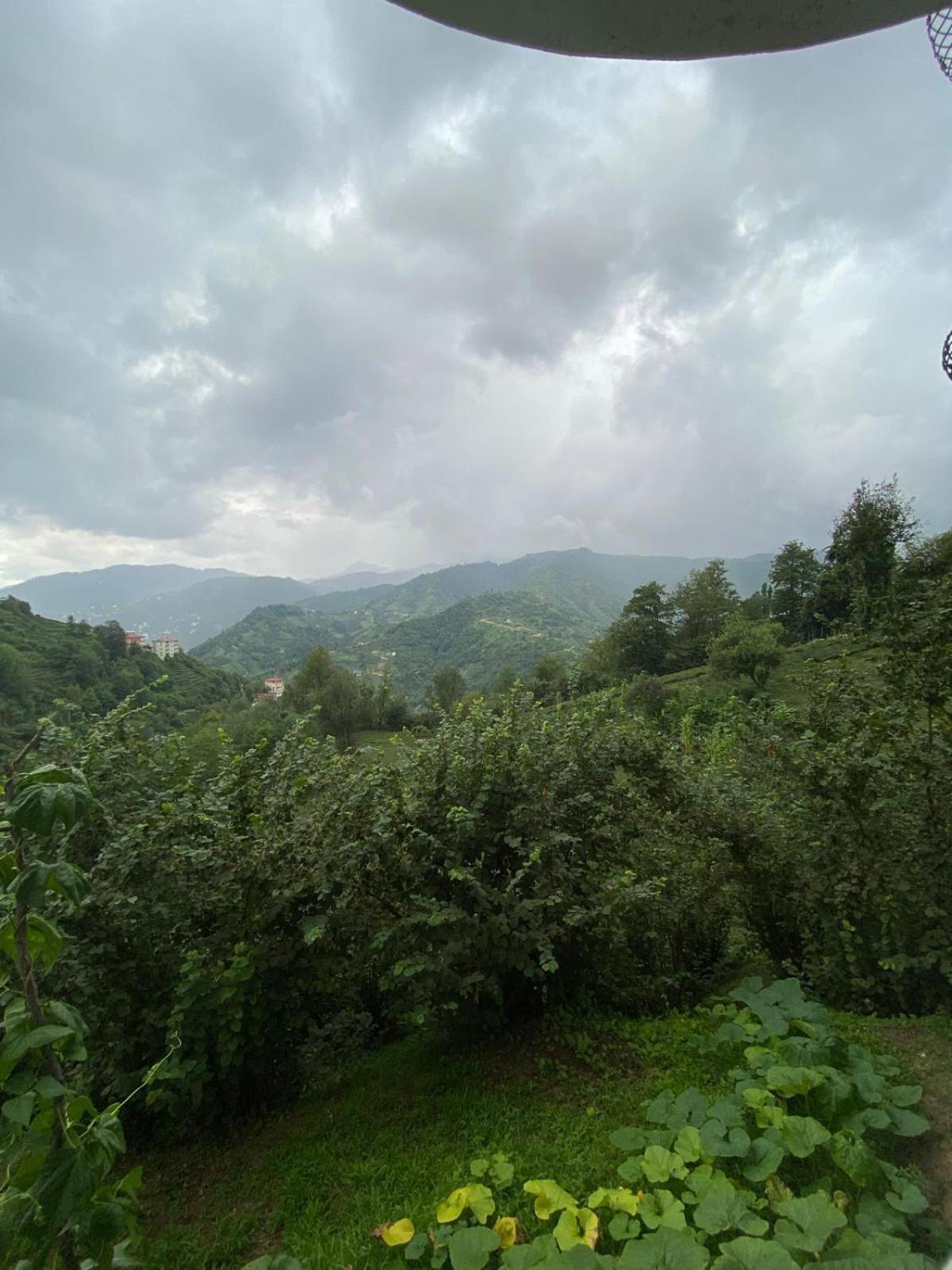 Kelesoğlu Apart