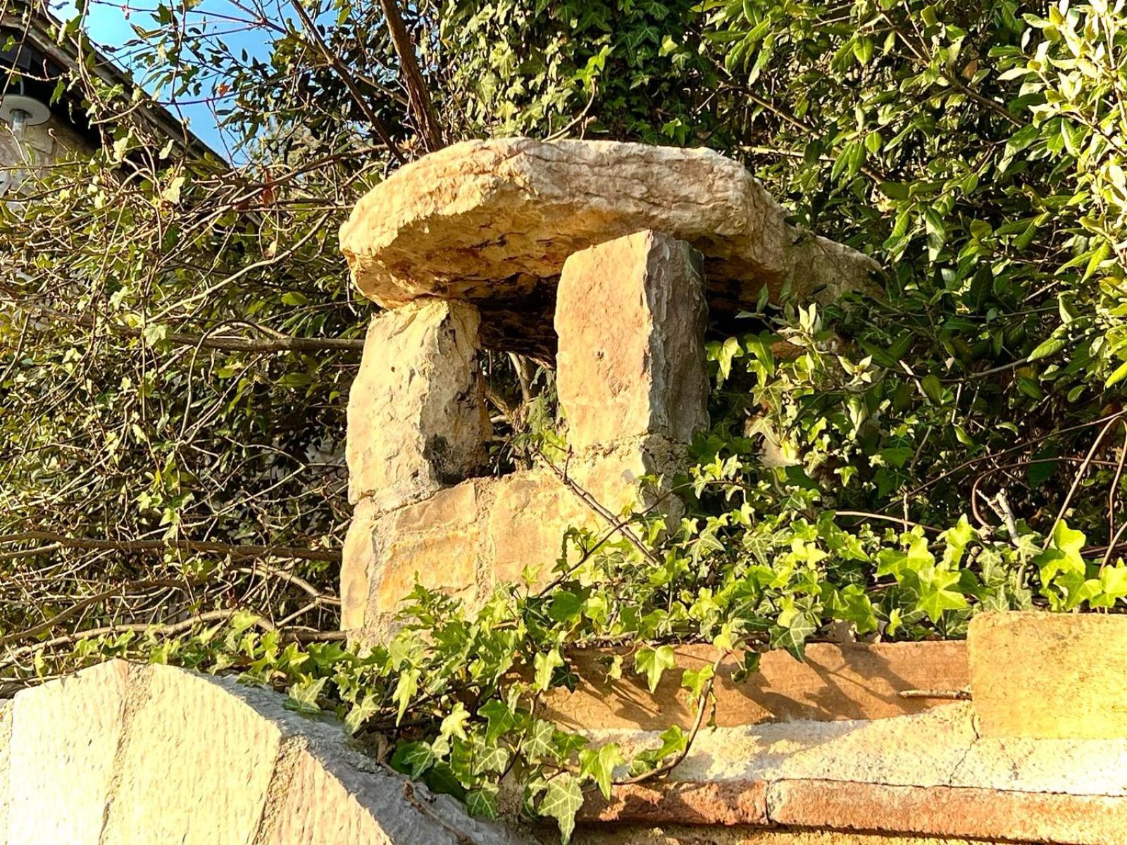 Photo 44