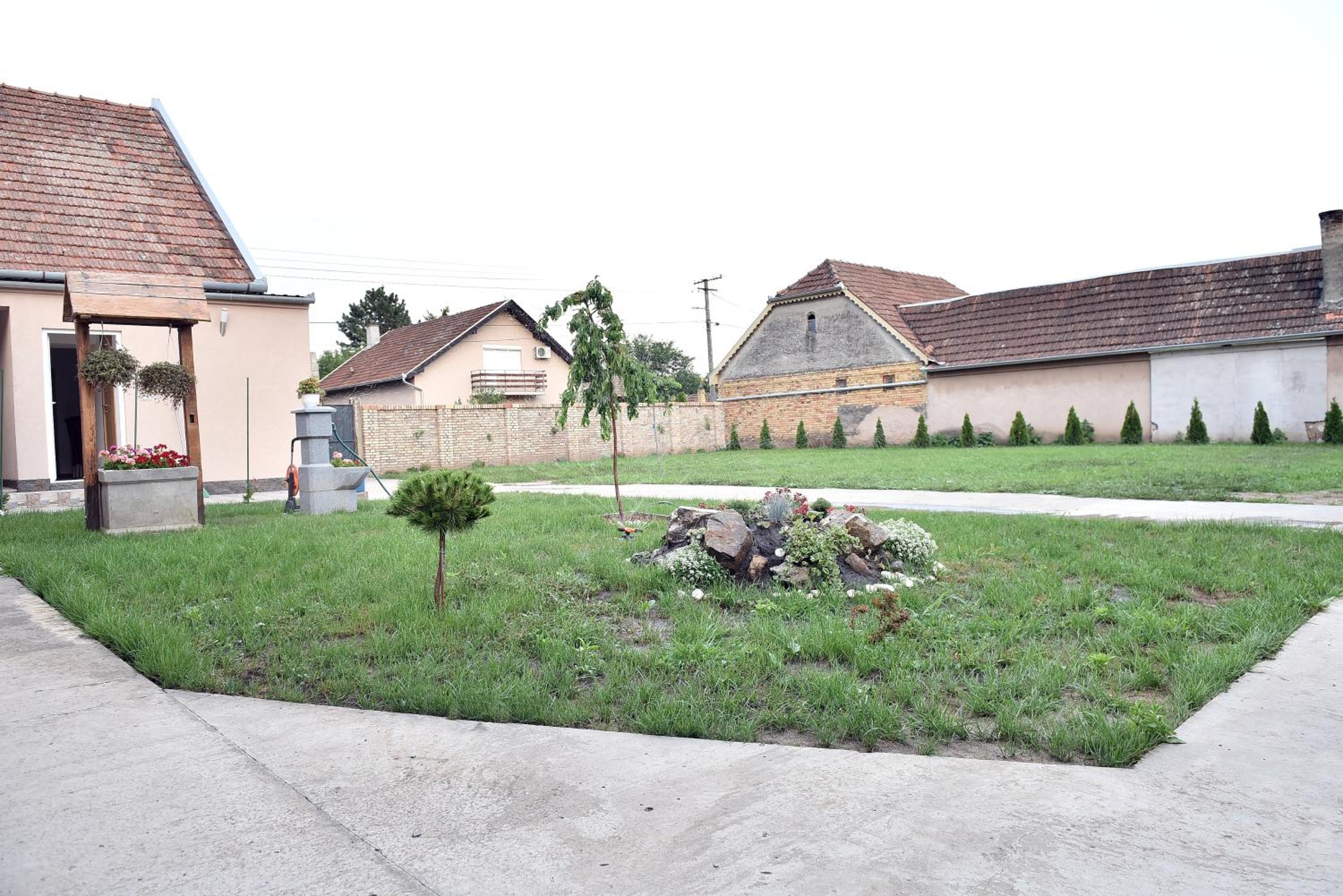 Photo 31