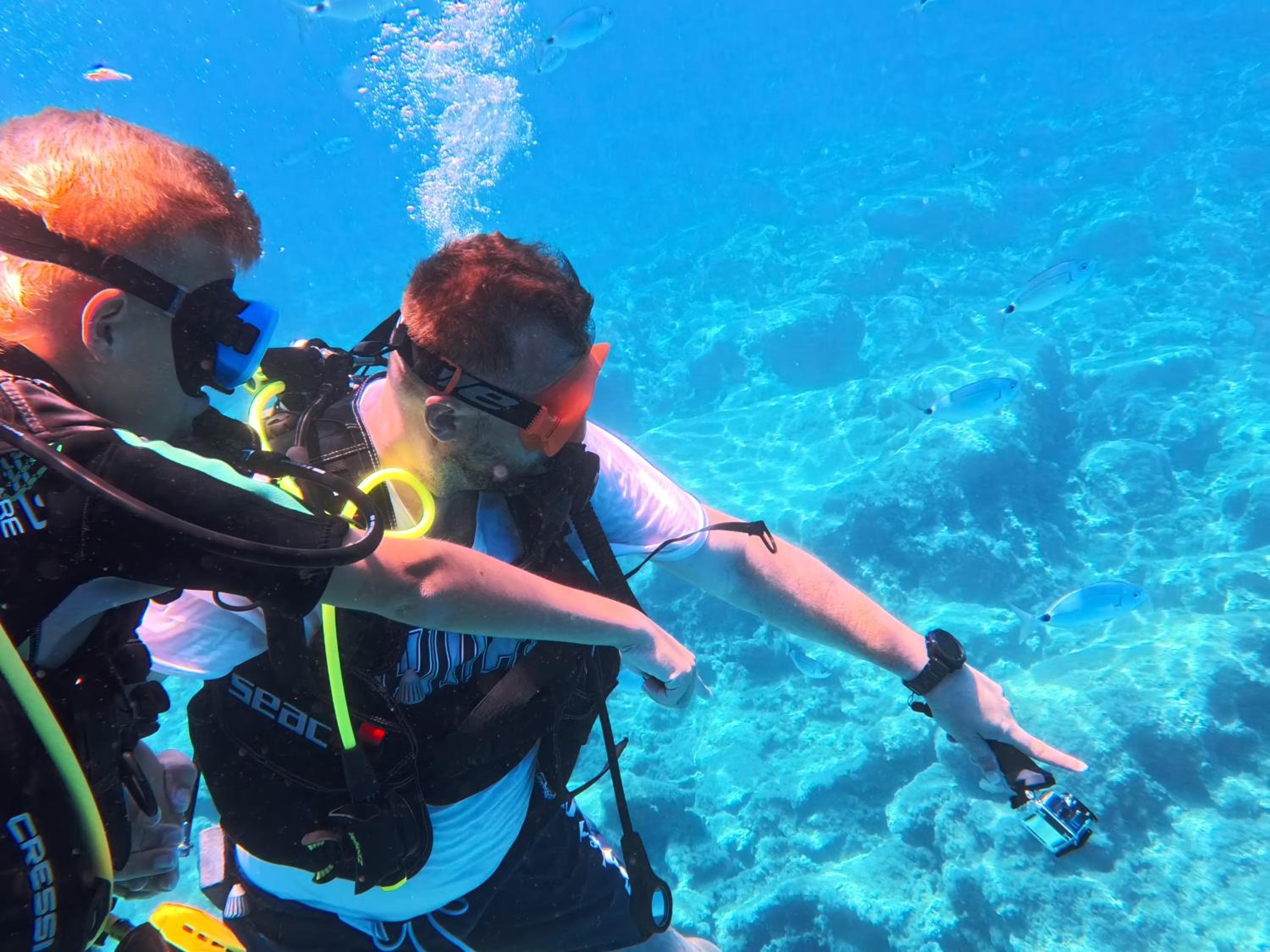 Diver's Den