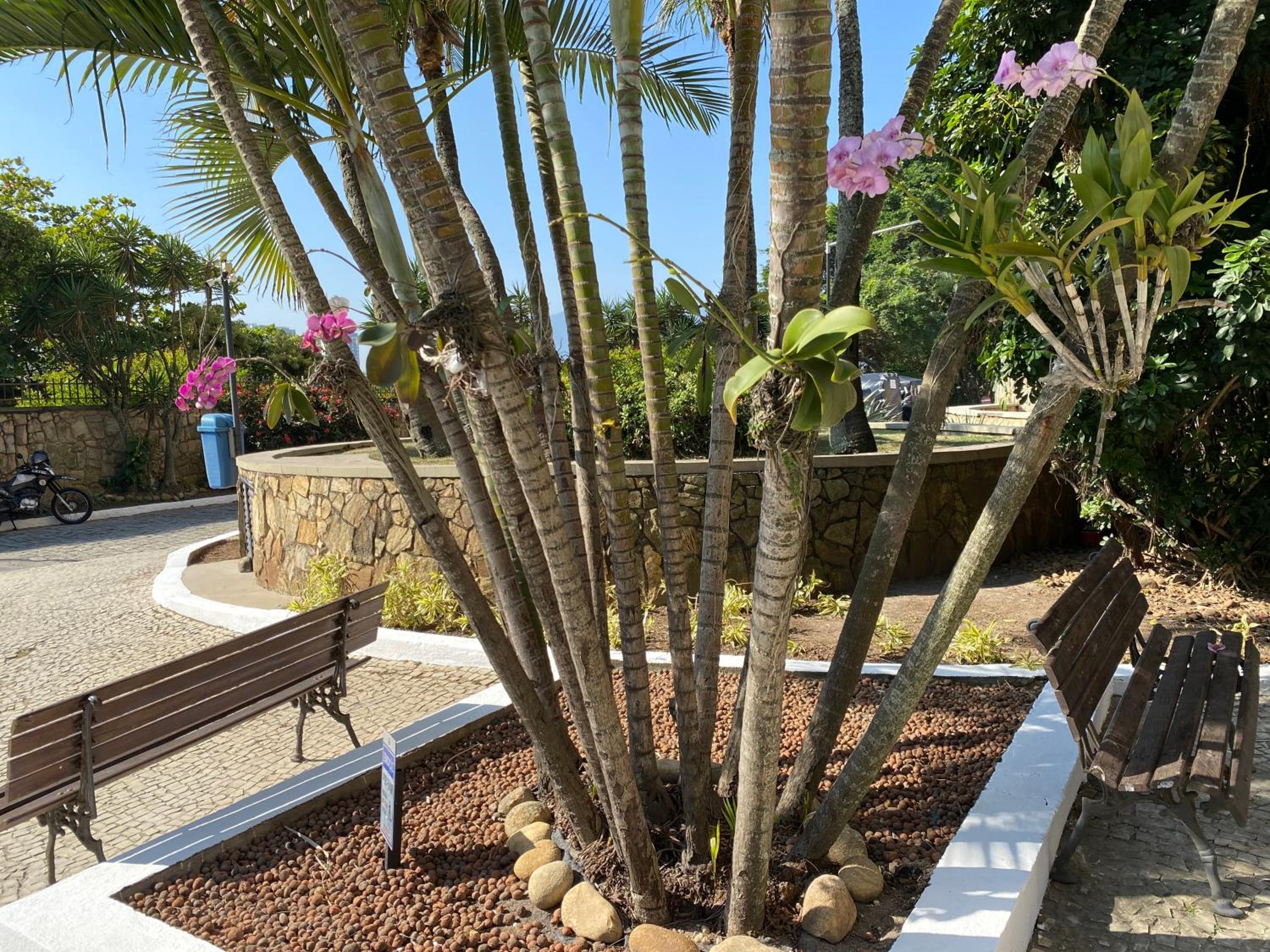 Apartamento Luxo Requinte 30 mts da Praia da Barra Posto 8