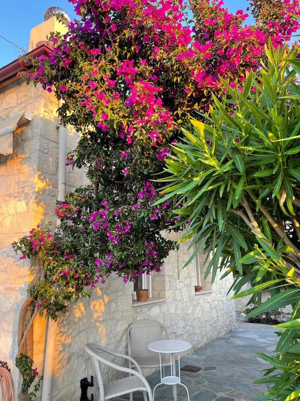Villa Olympia
