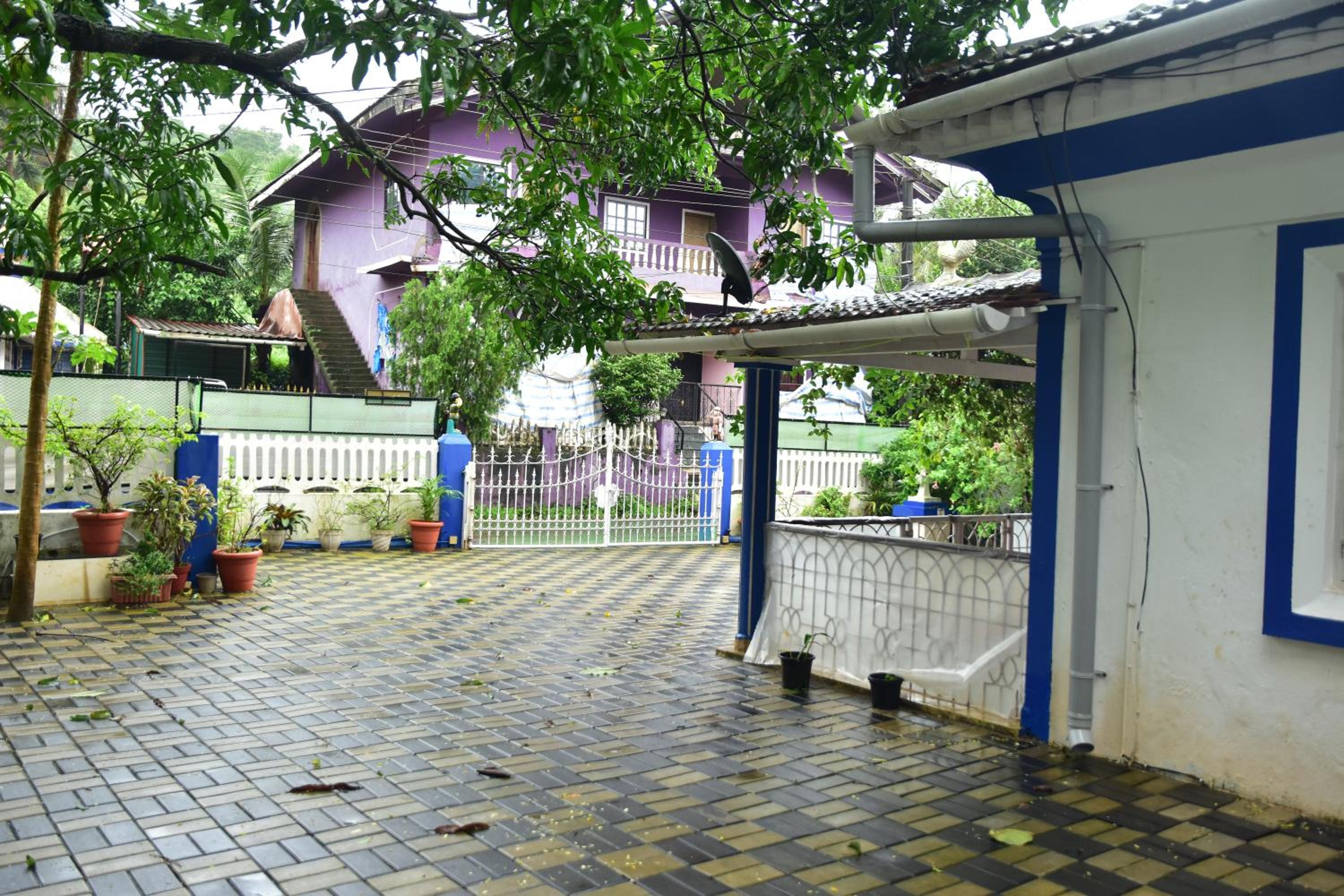 Photo 17