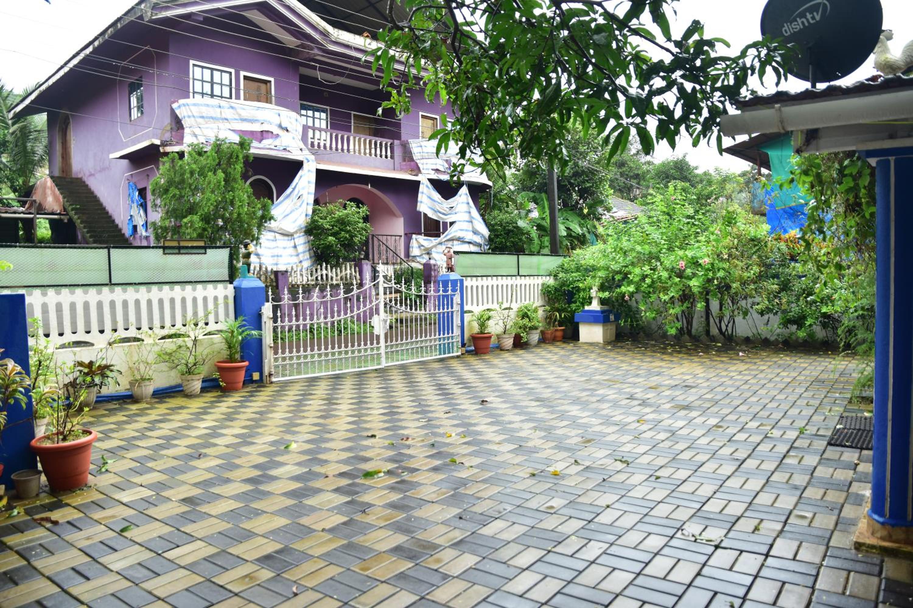 Photo 21