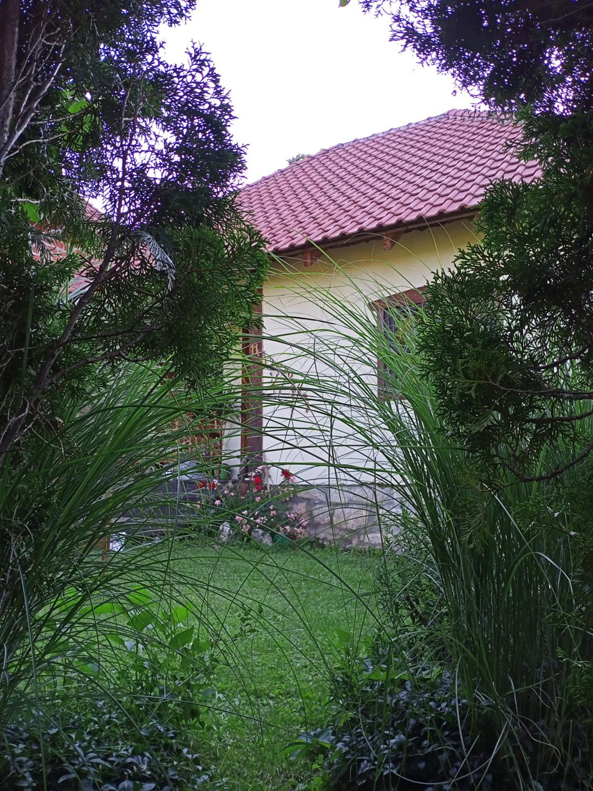 Apartman Marković